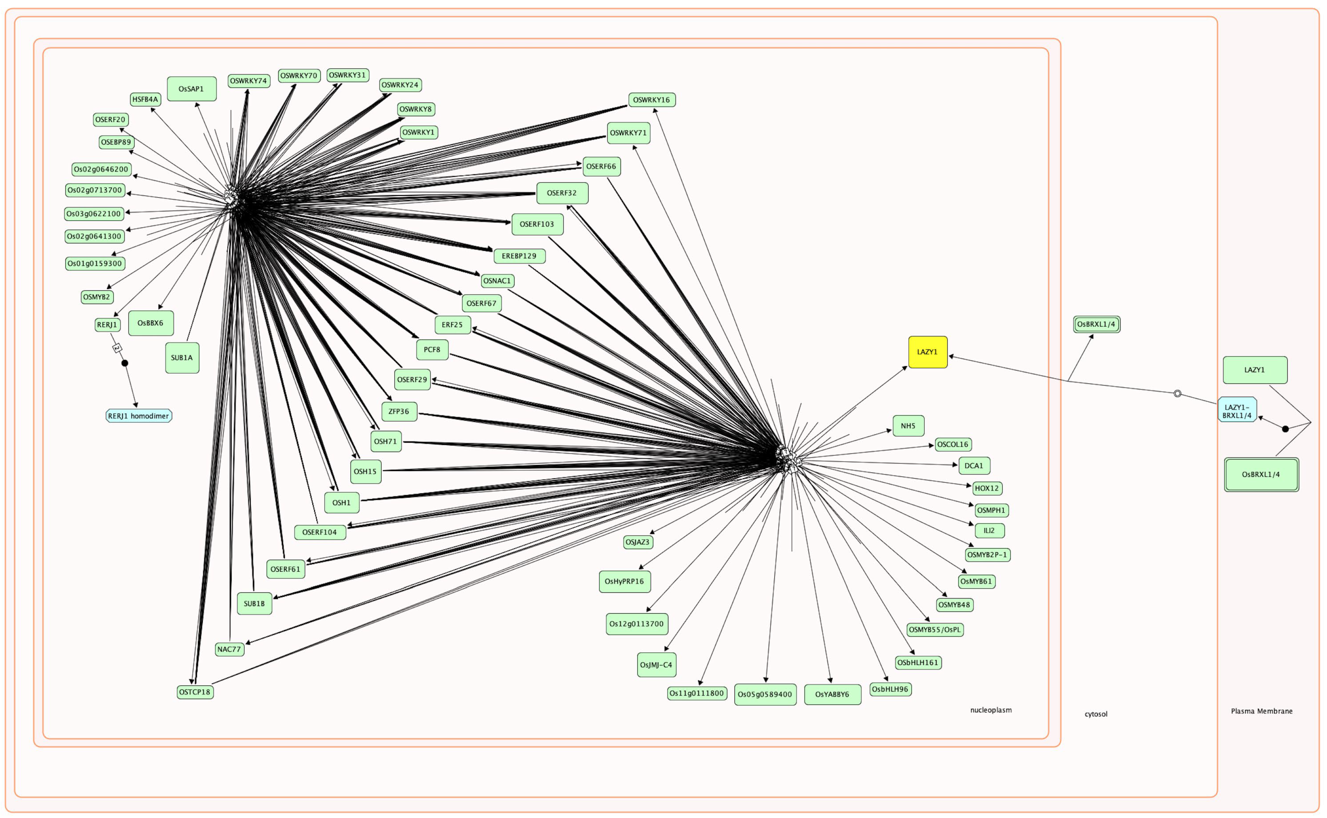 Plants 12 02146 g005