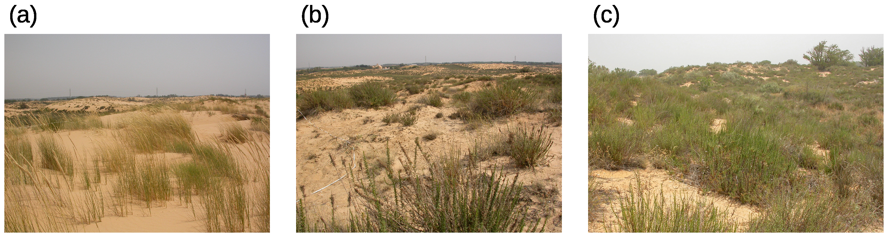 Plants 12 02151 g007