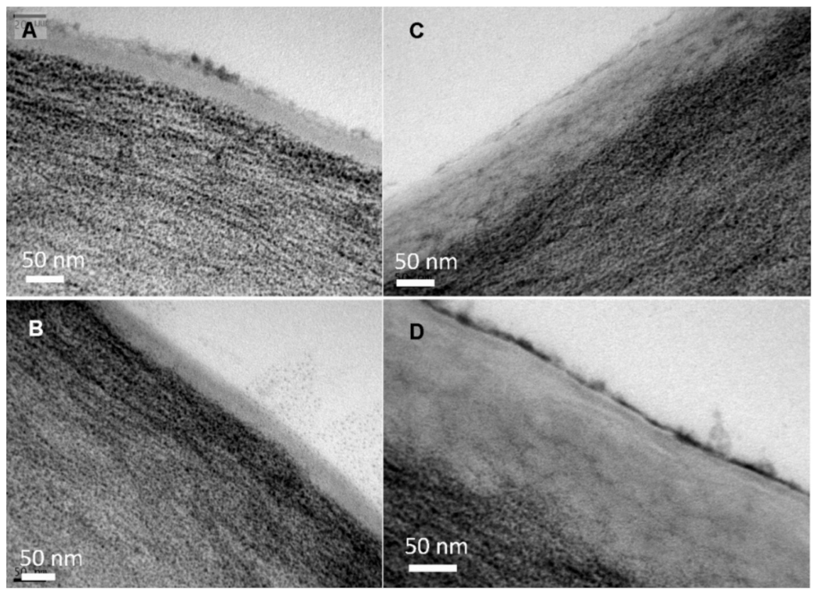 Plants 12 02152 g003 Plants 12 02152 g003