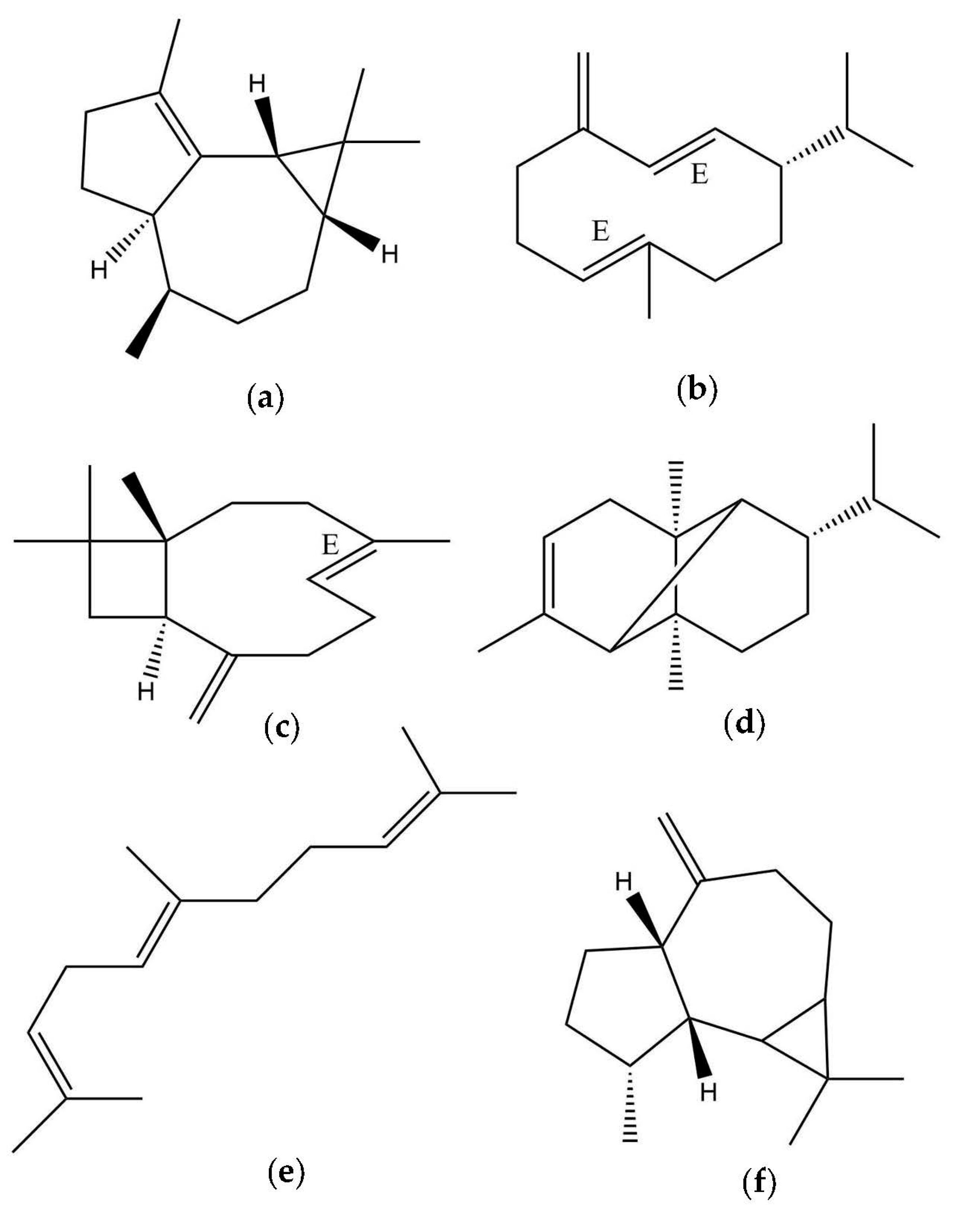 Plants 12 02155 g002 Plants 12 02155 g002