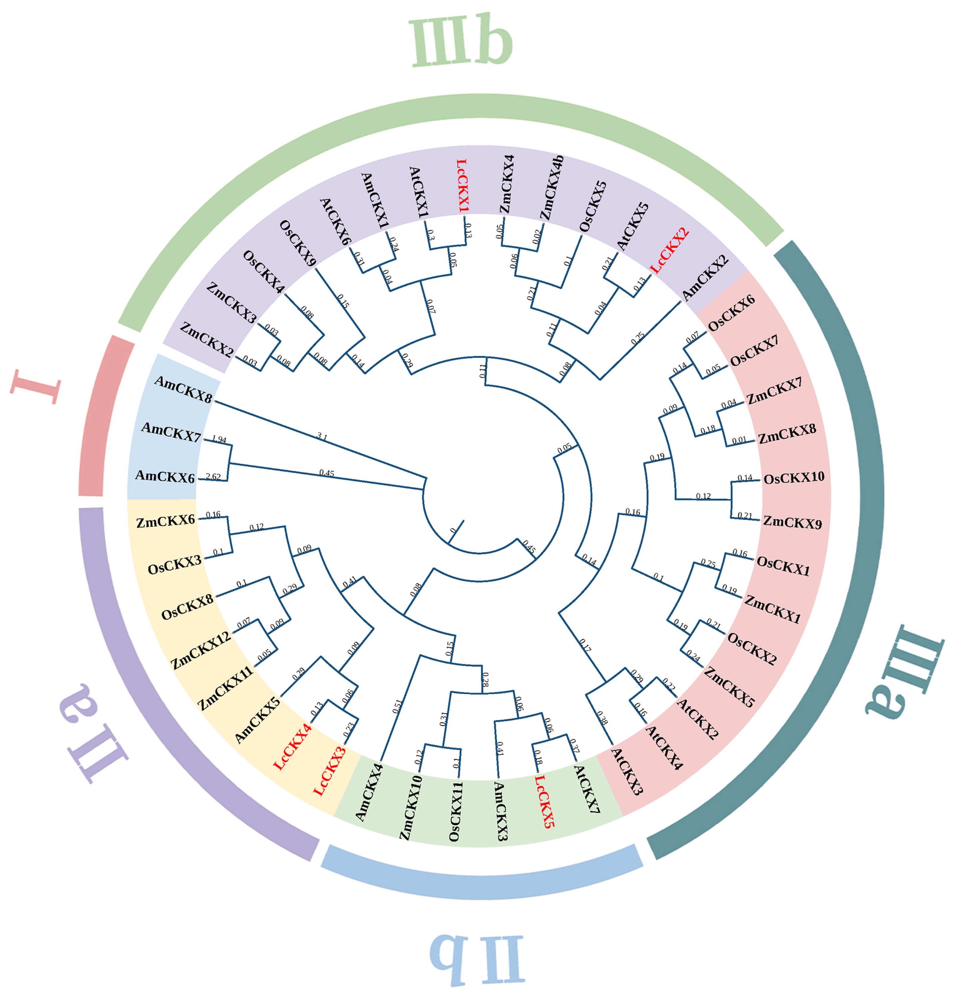 Plants 12 02157 g001 Plants 12 02157 g001