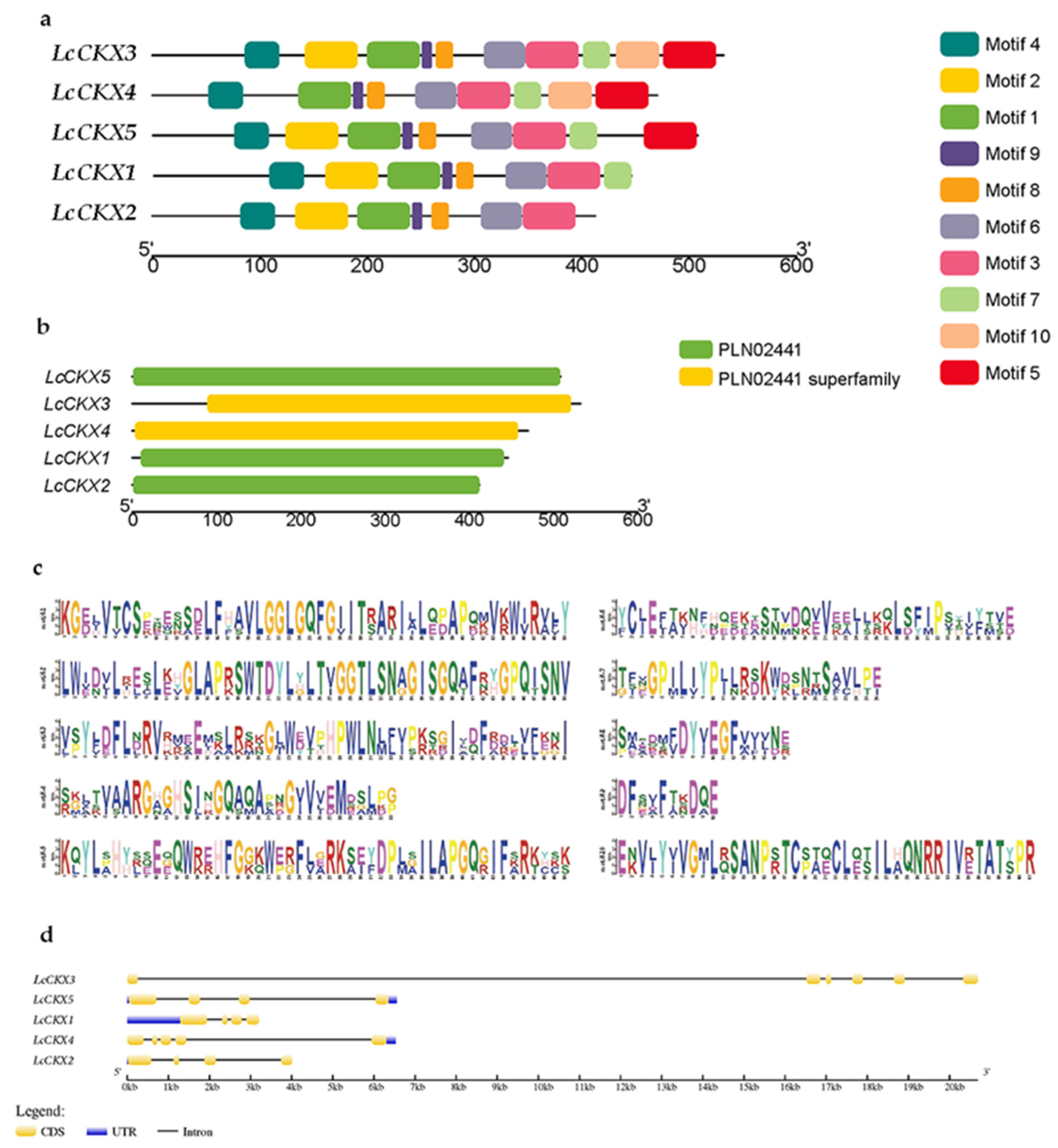 Plants 12 02157 g002 Plants 12 02157 g002