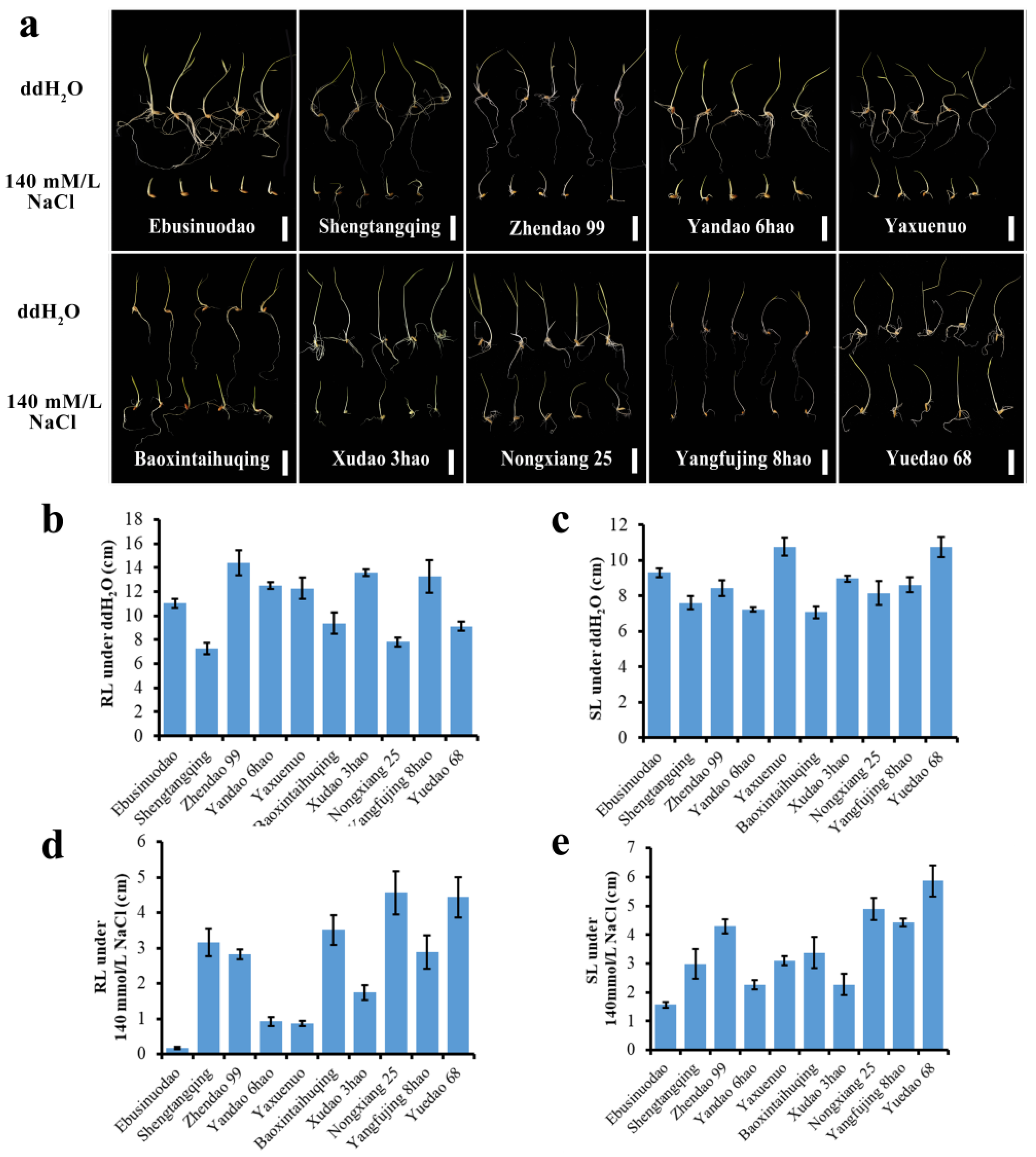 Plants 12 02163 g002