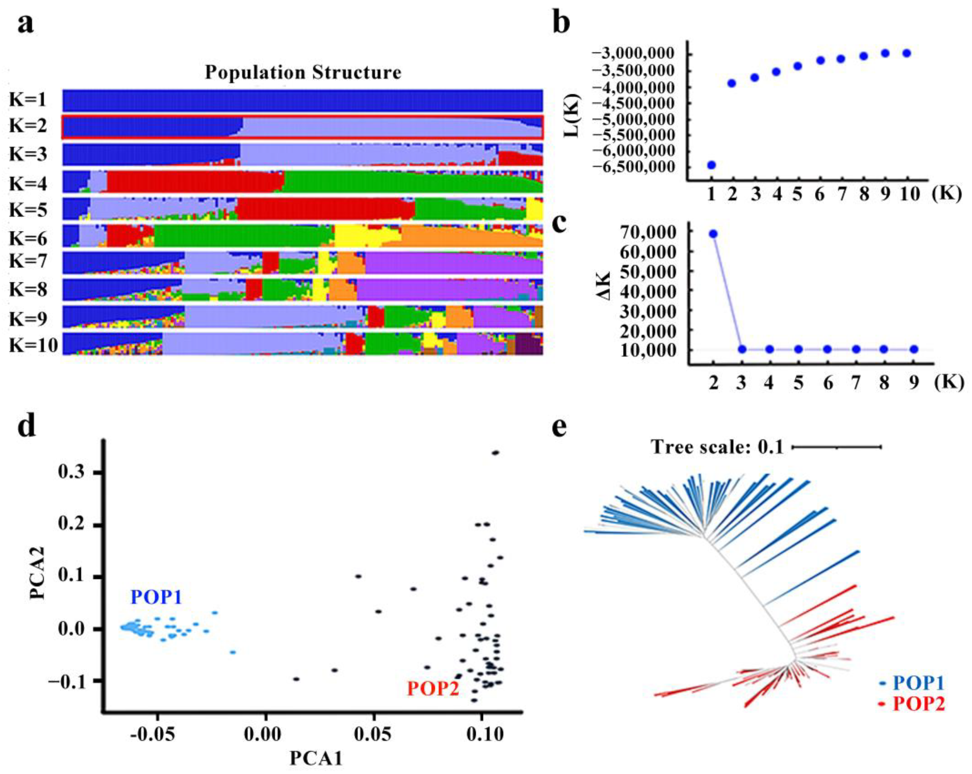 Plants 12 02163 g003