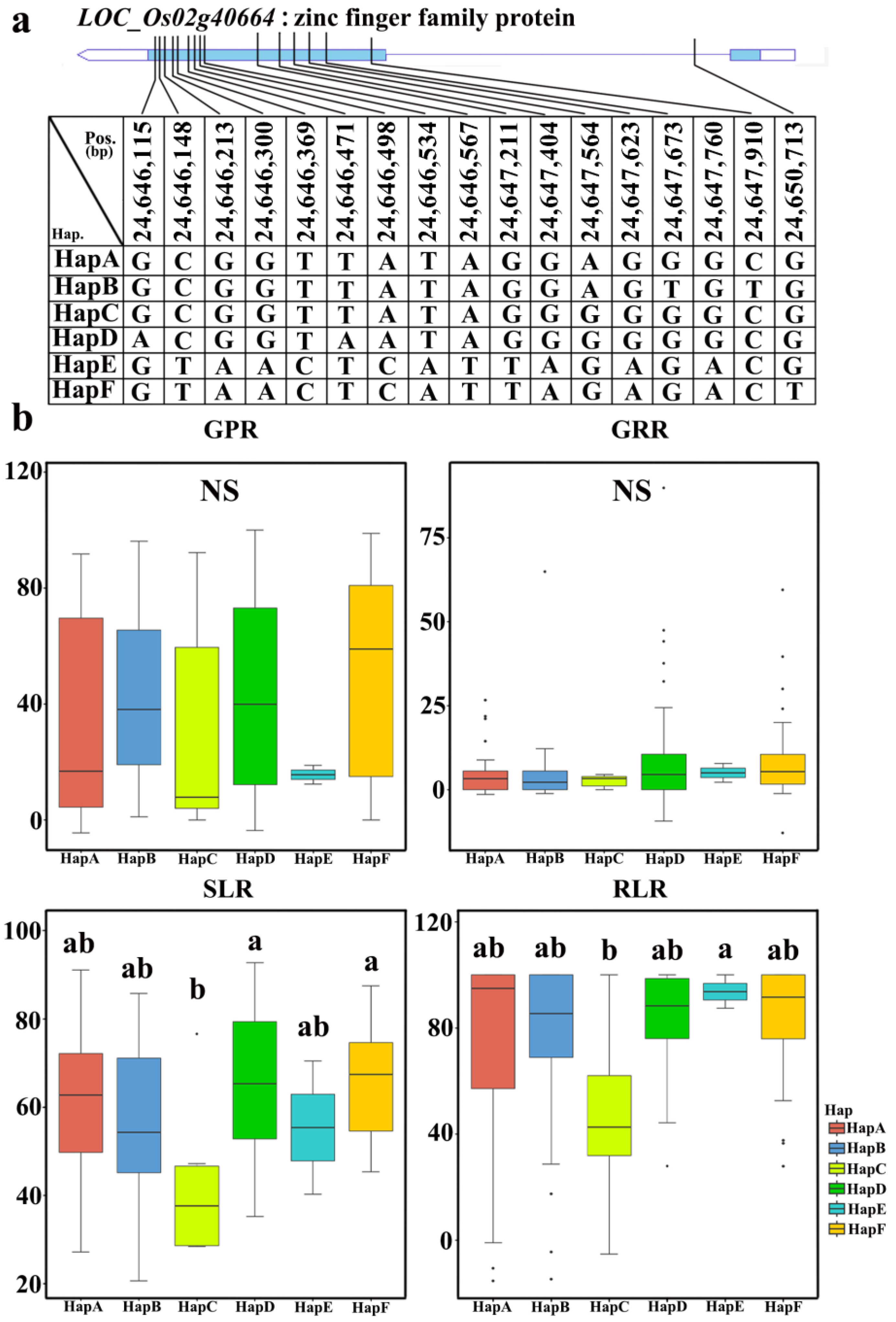 Plants 12 02163 g006