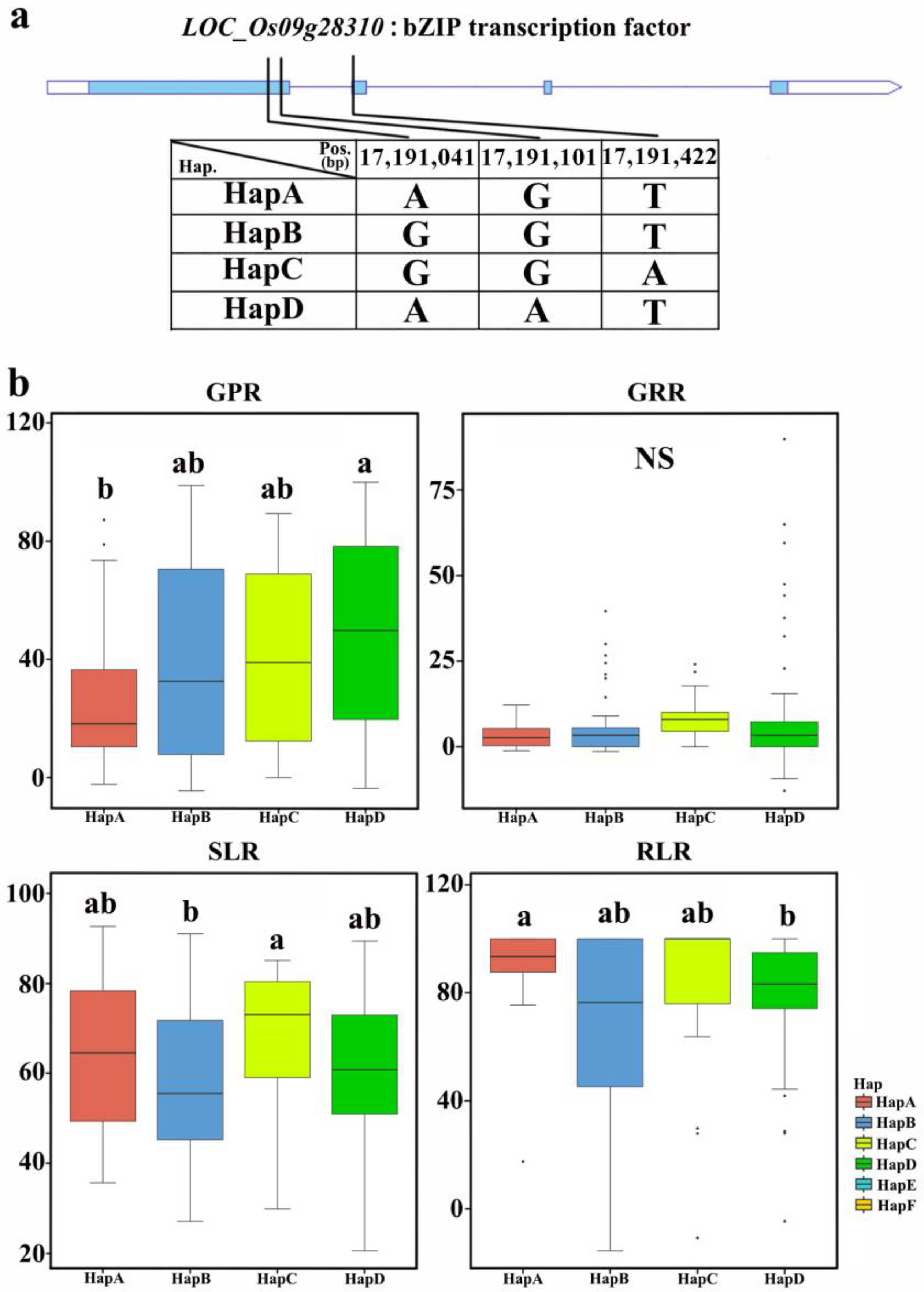 Plants 12 02163 g008