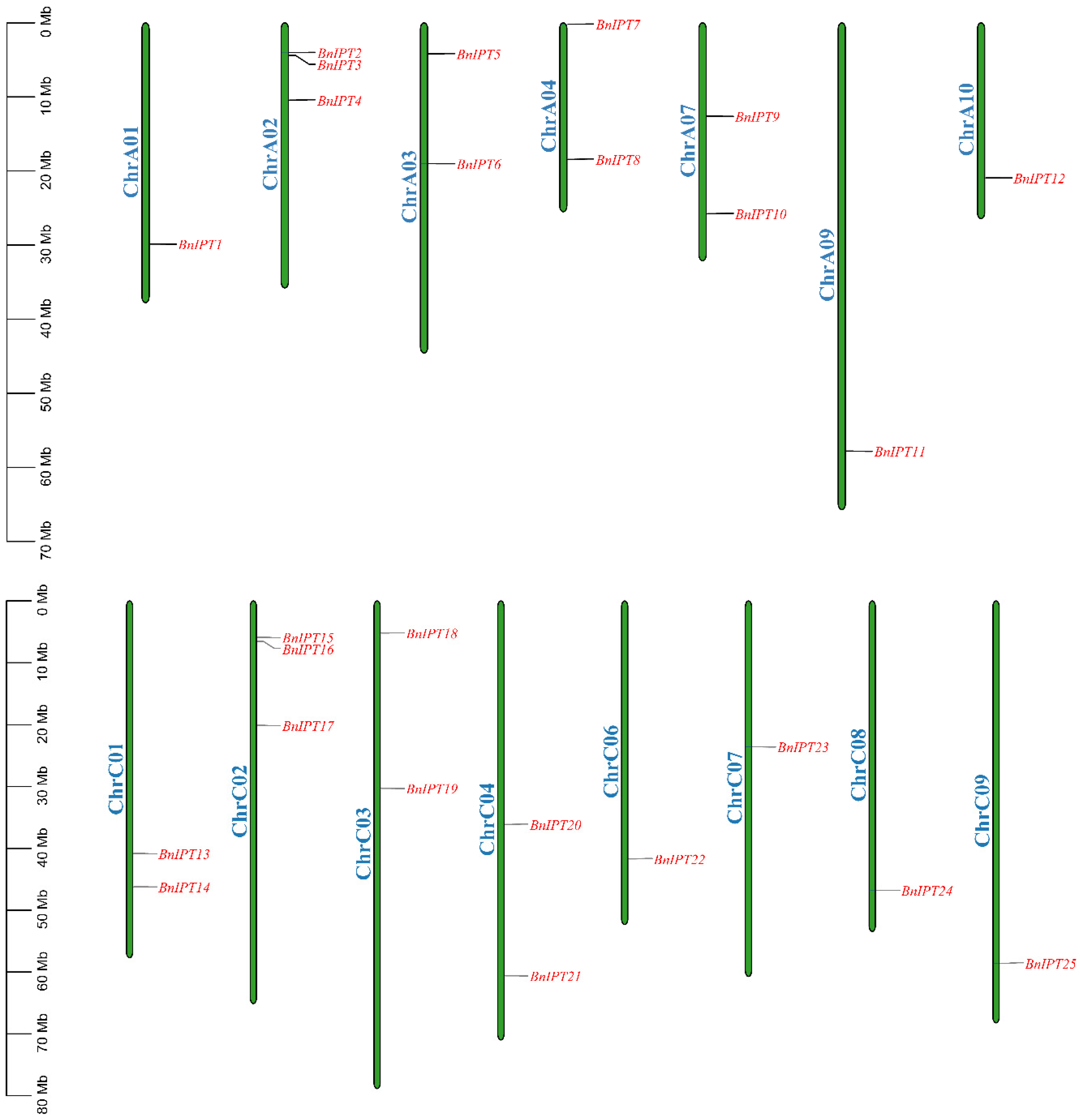 Plants 12 02166 g001 Plants 12 02166 g001