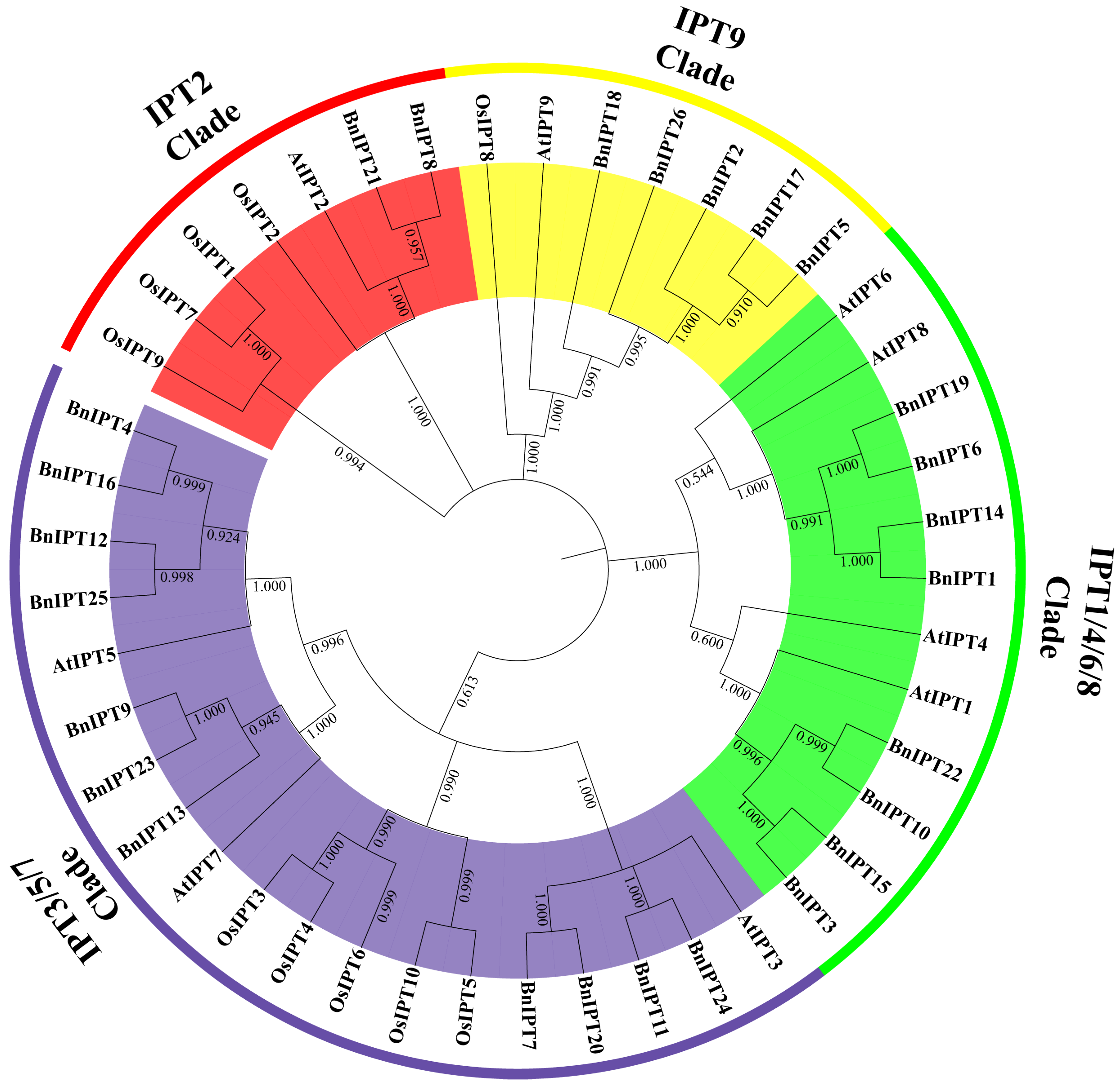 Plants 12 02166 g002 Plants 12 02166 g002