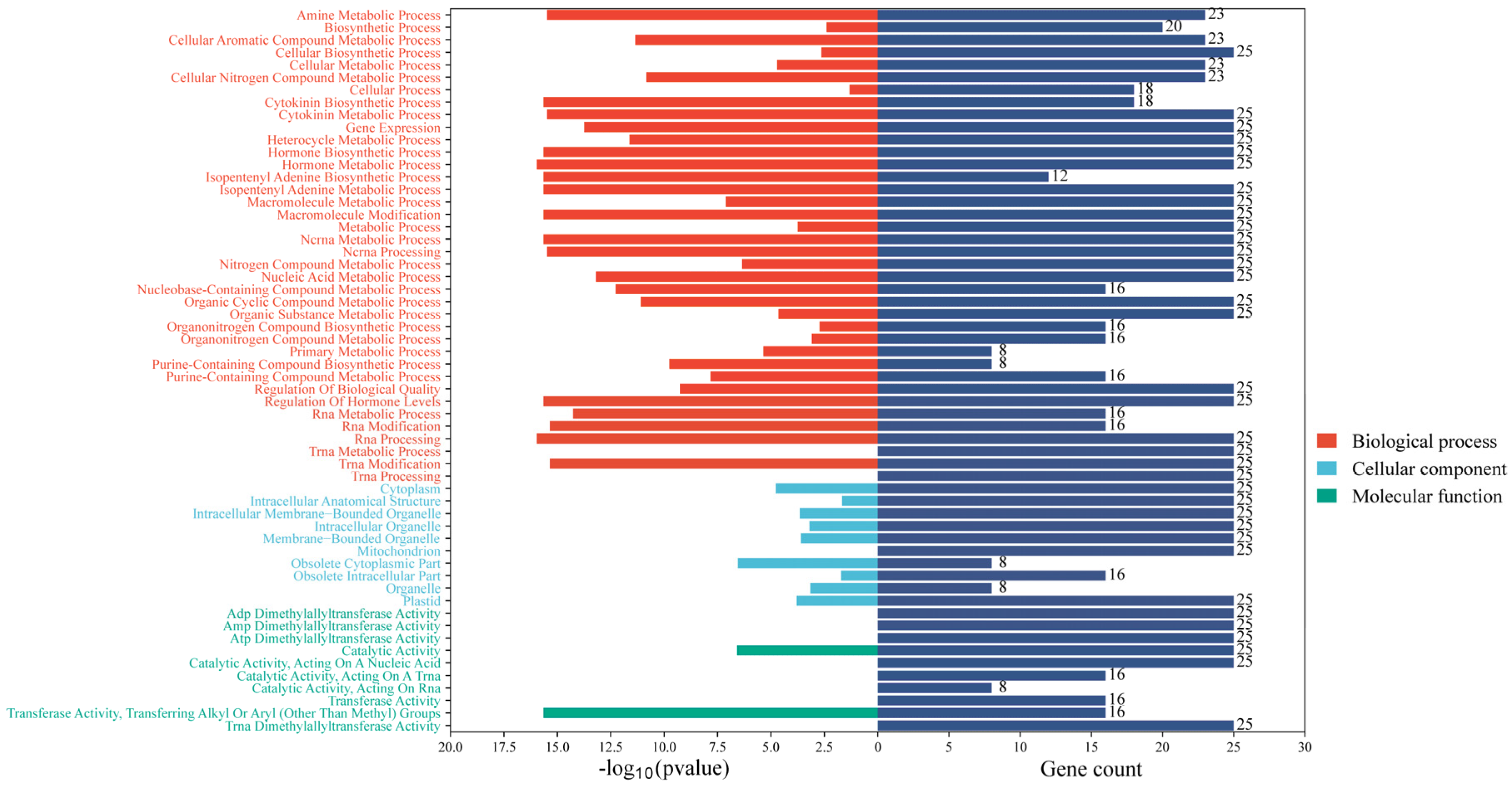 Plants 12 02166 g007 Plants 12 02166 g007