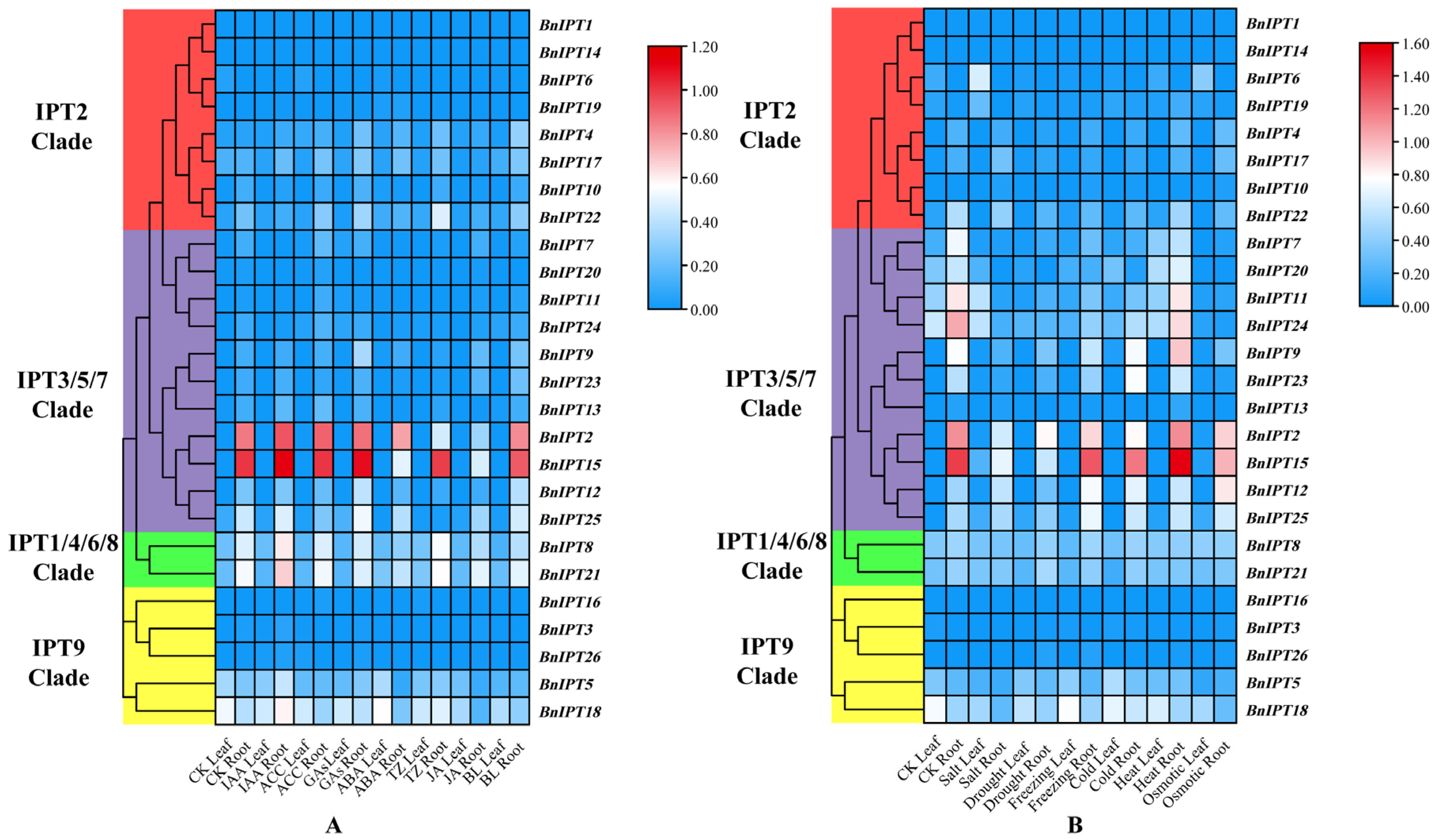 Plants 12 02166 g008 Plants 12 02166 g008