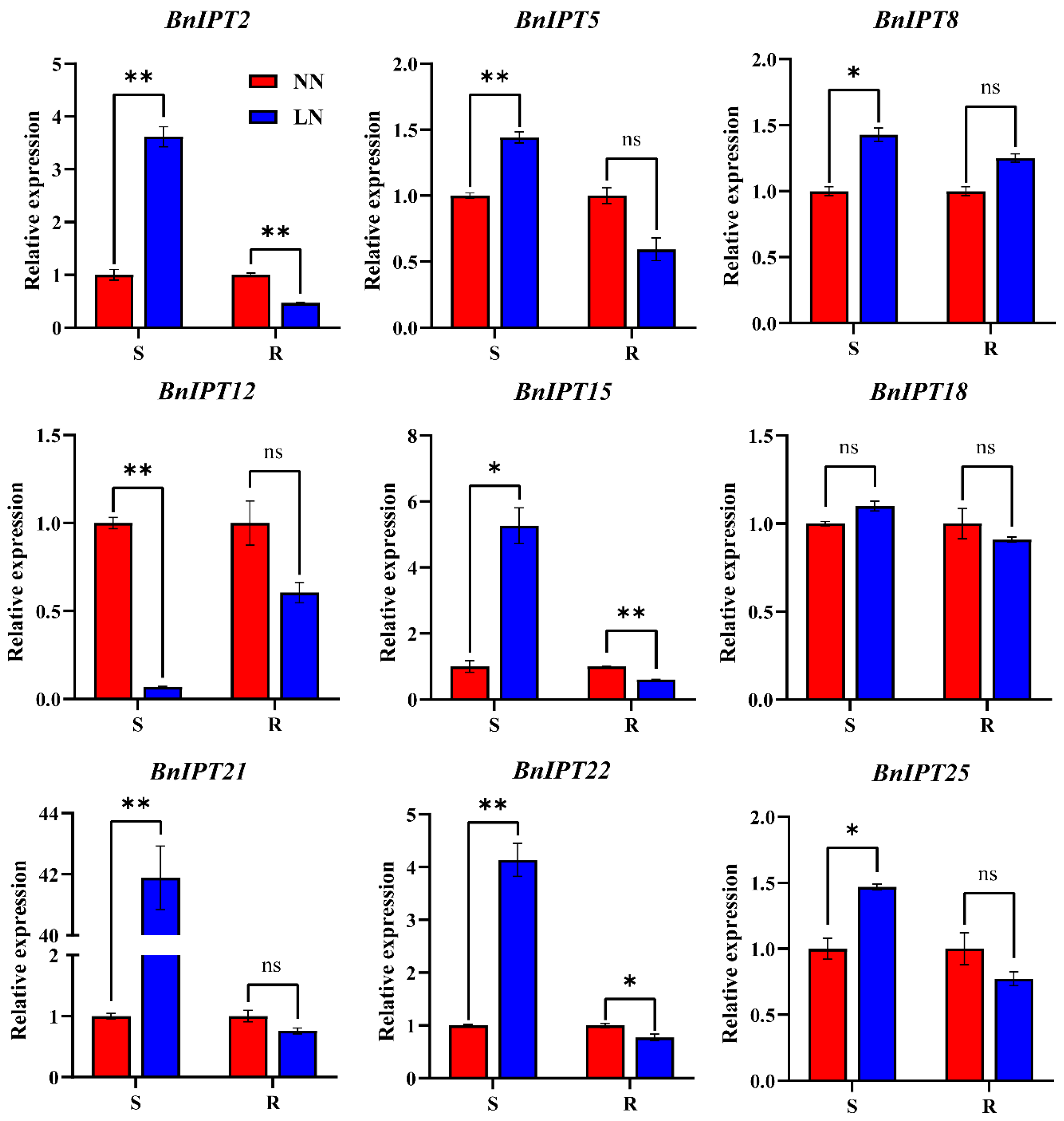 Plants 12 02166 g011 Plants 12 02166 g011