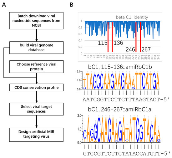 Genes, Free Full-Text