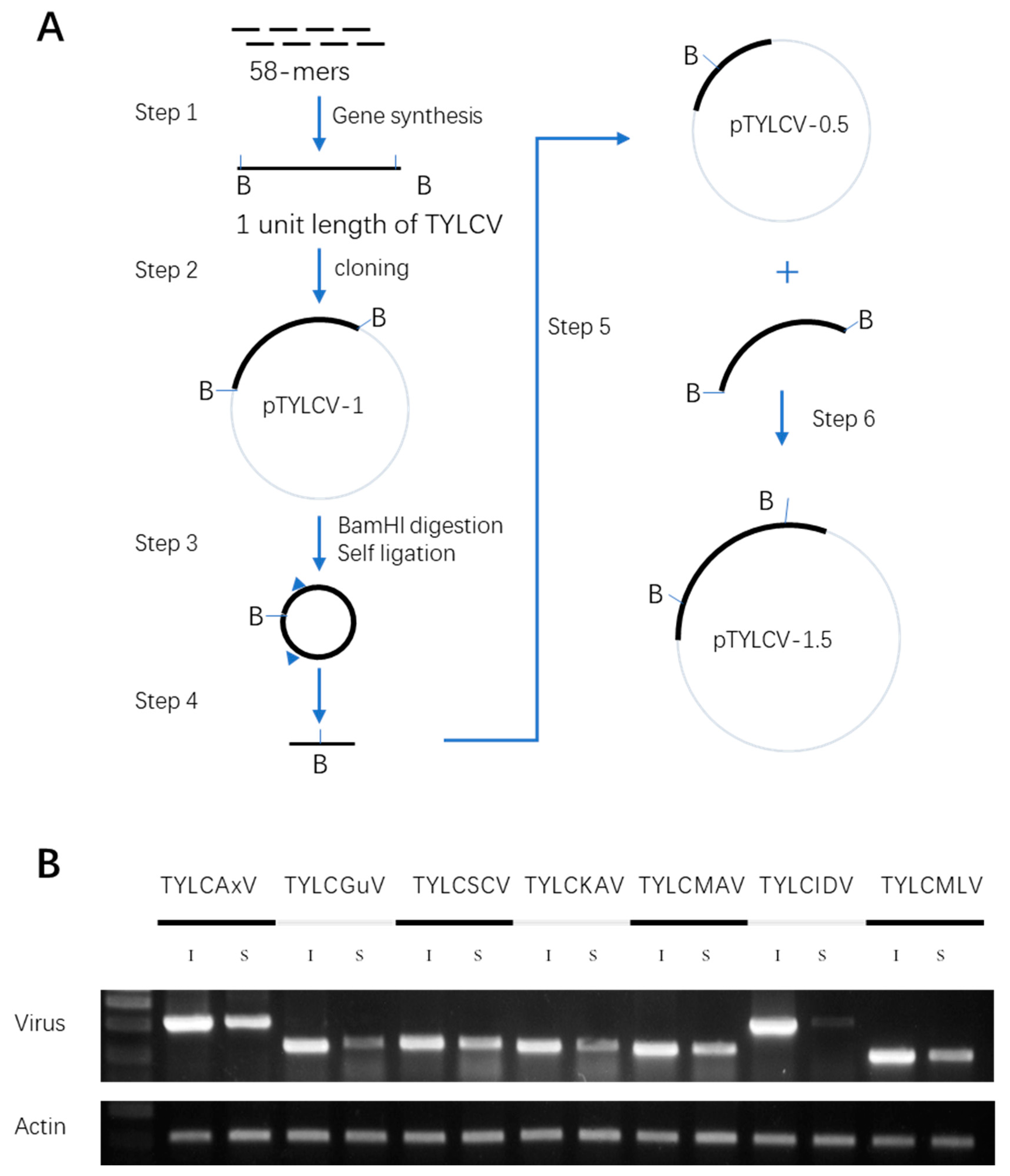 Plants 12 02179 g004 Plants 12 02179 g004