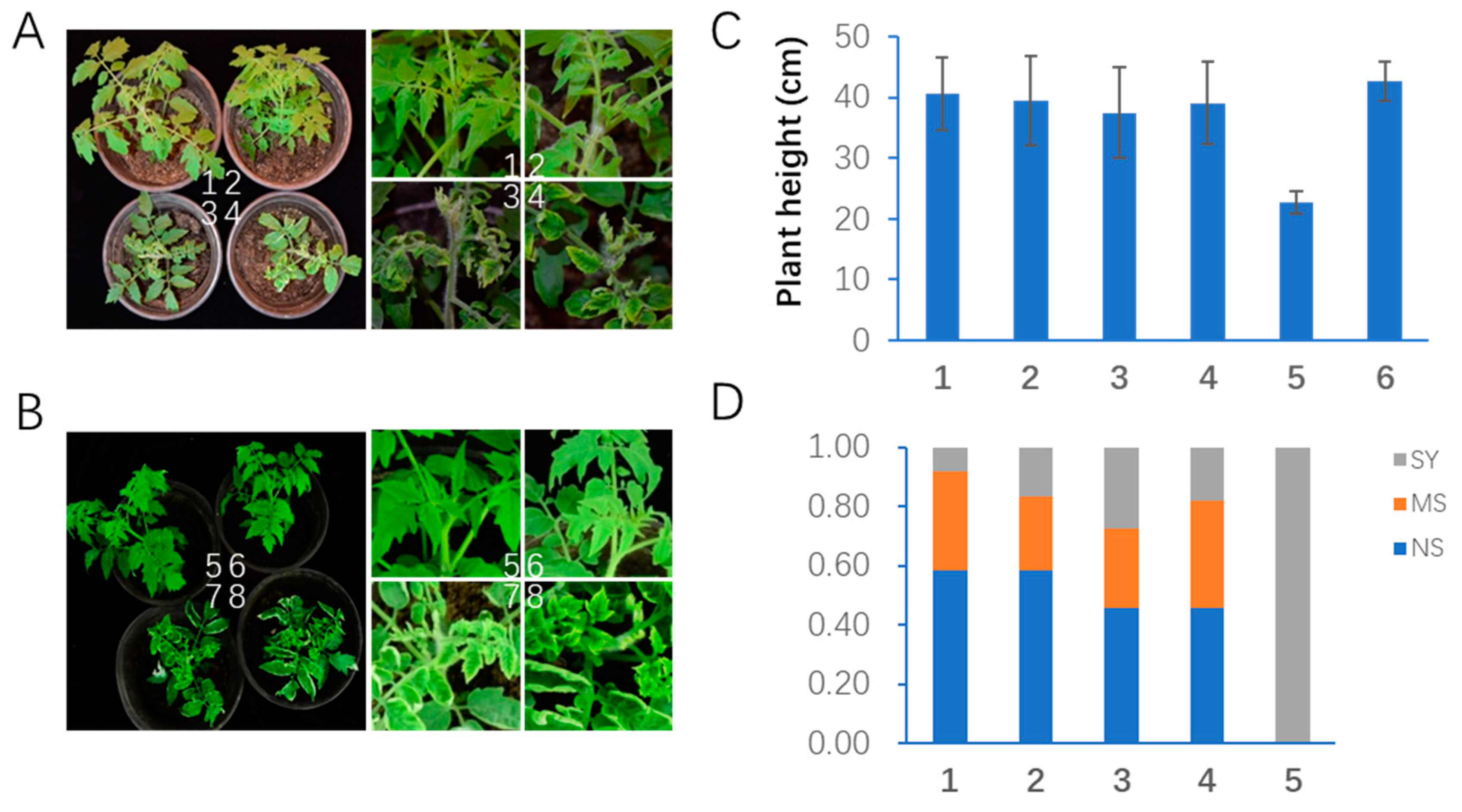 Plants 12 02179 g005 Plants 12 02179 g005