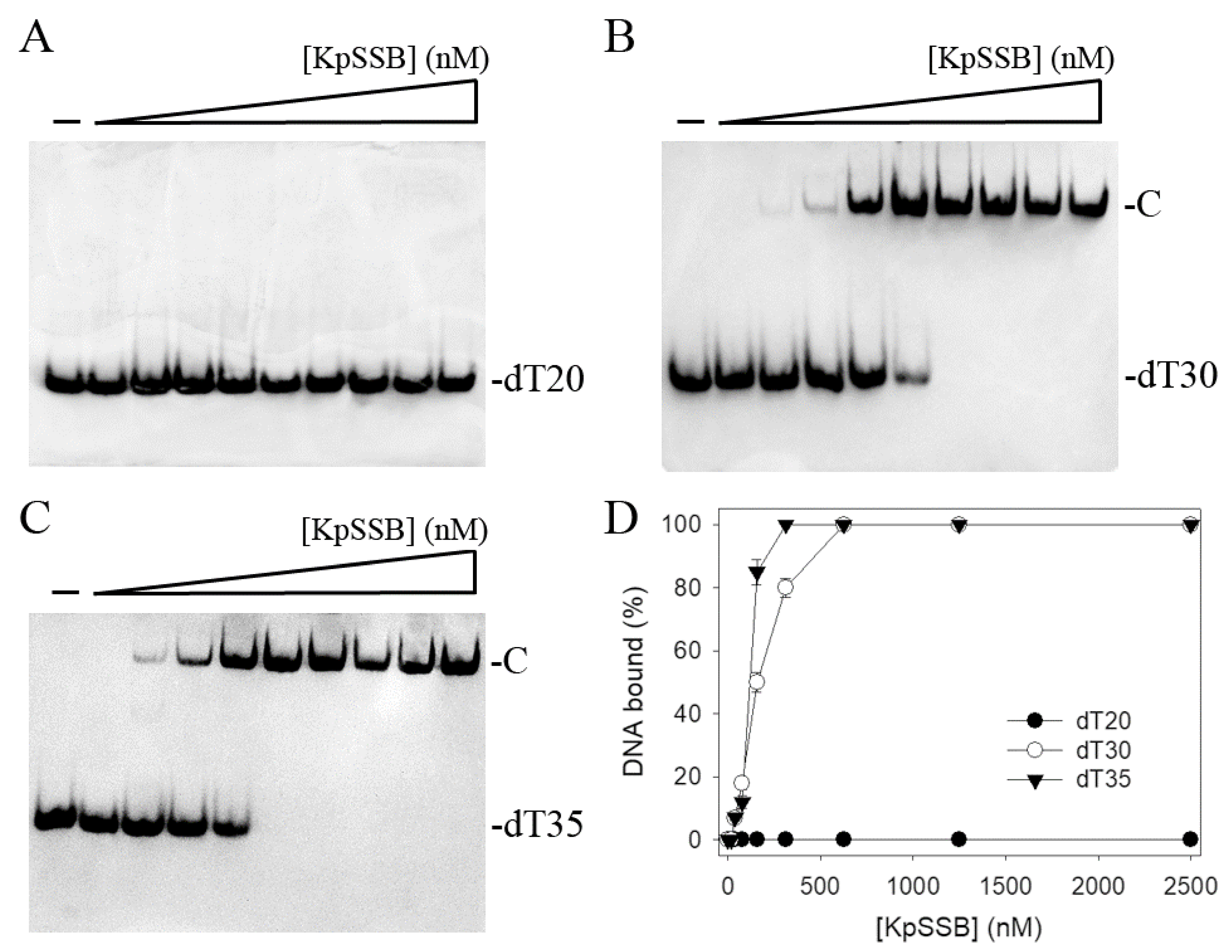 Plants 12 02188 g001 Plants 12 02188 g001