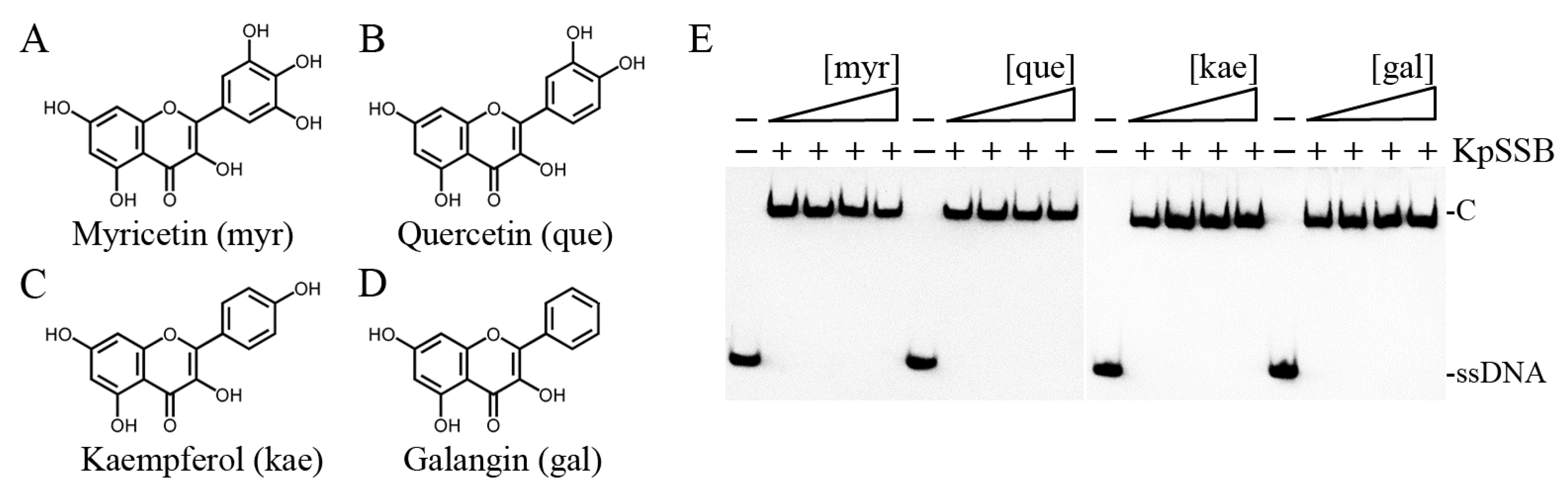 Plants 12 02188 g003 Plants 12 02188 g003