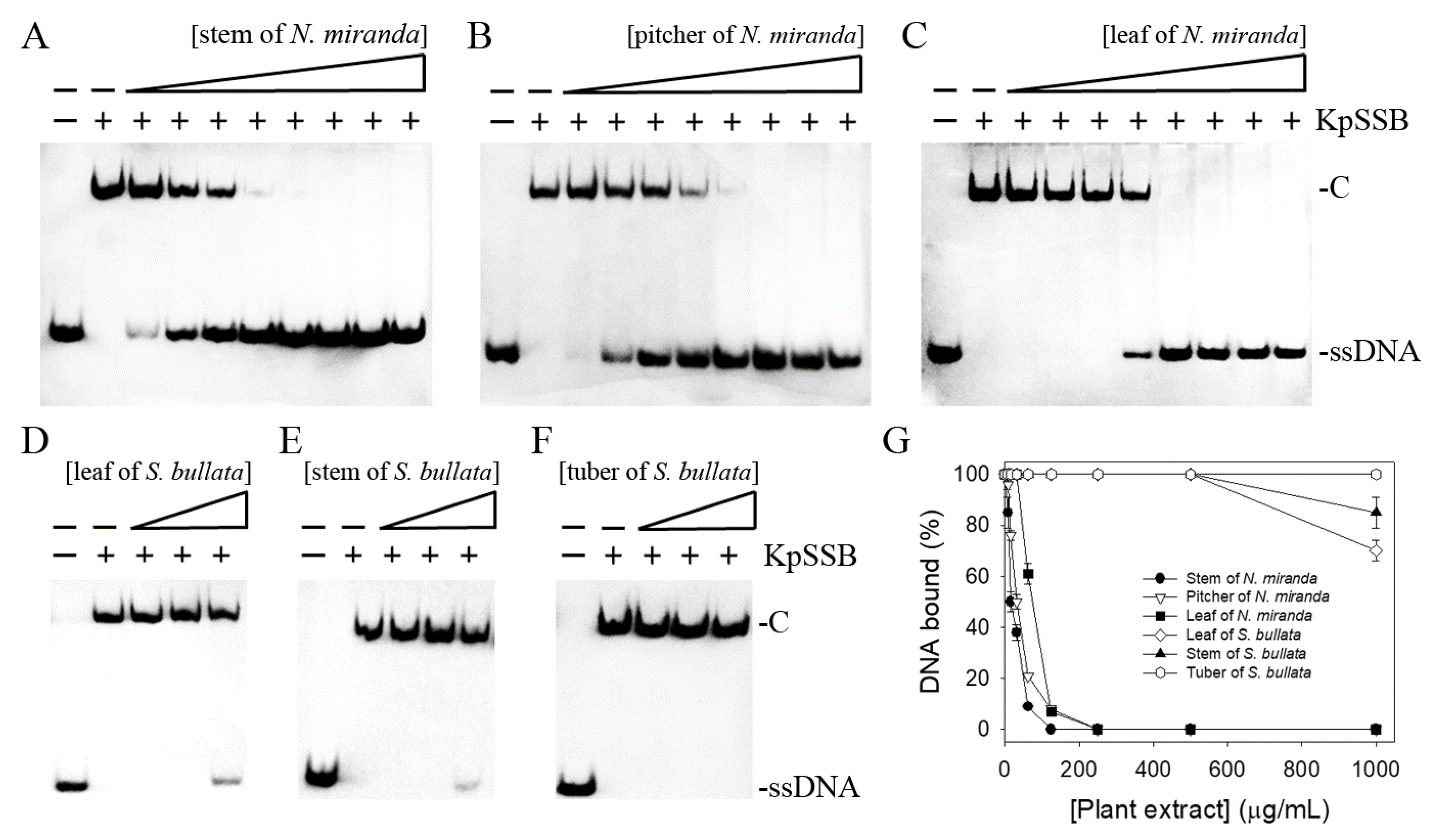 Plants 12 02188 g004 Plants 12 02188 g004