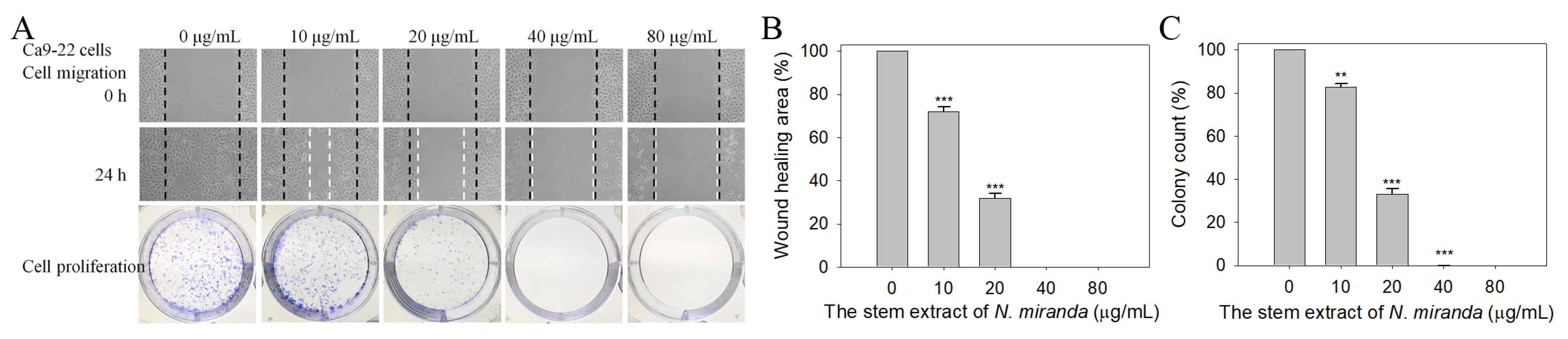 Plants 12 02188 g008 Plants 12 02188 g008