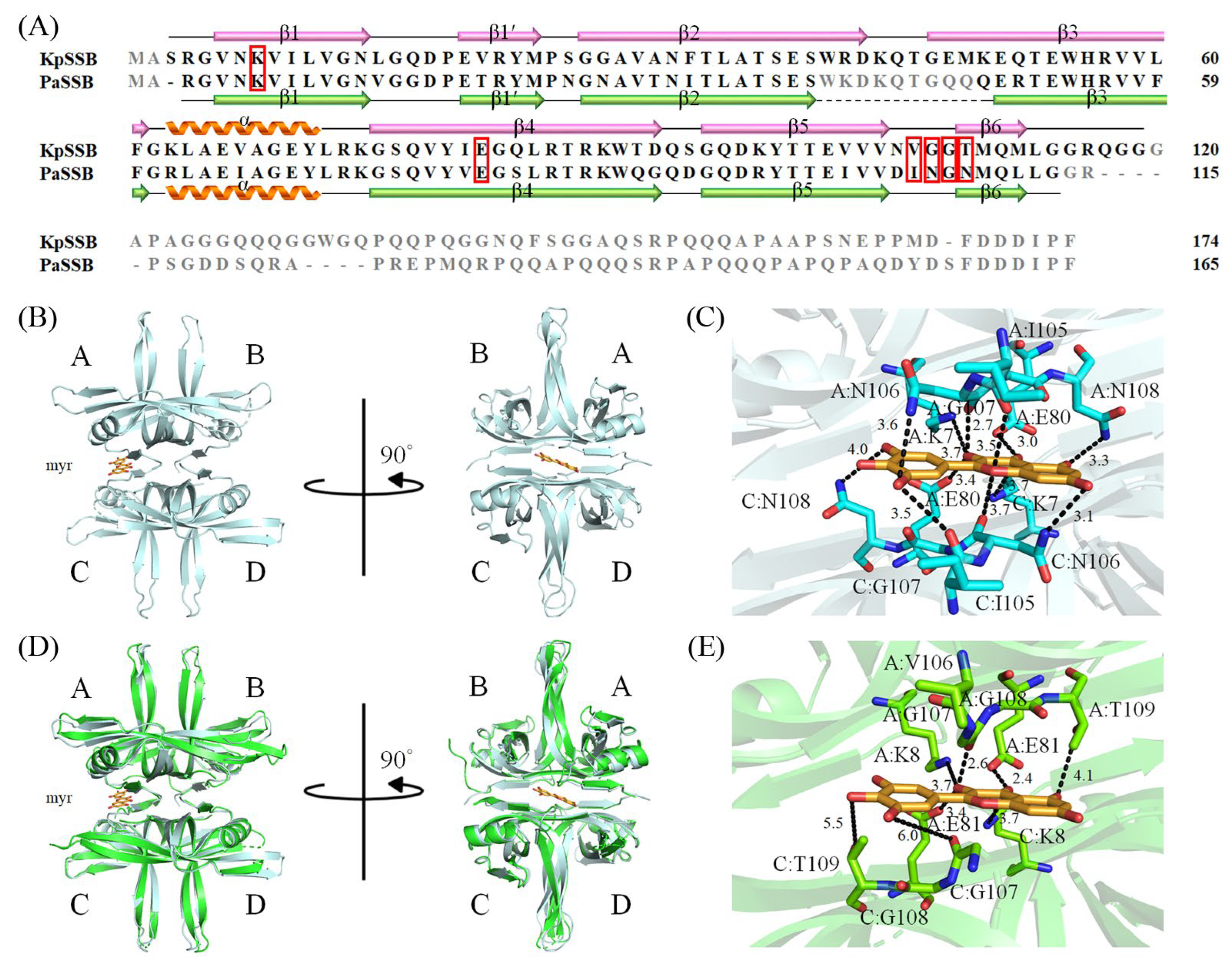 Plants 12 02188 g011 Plants 12 02188 g011