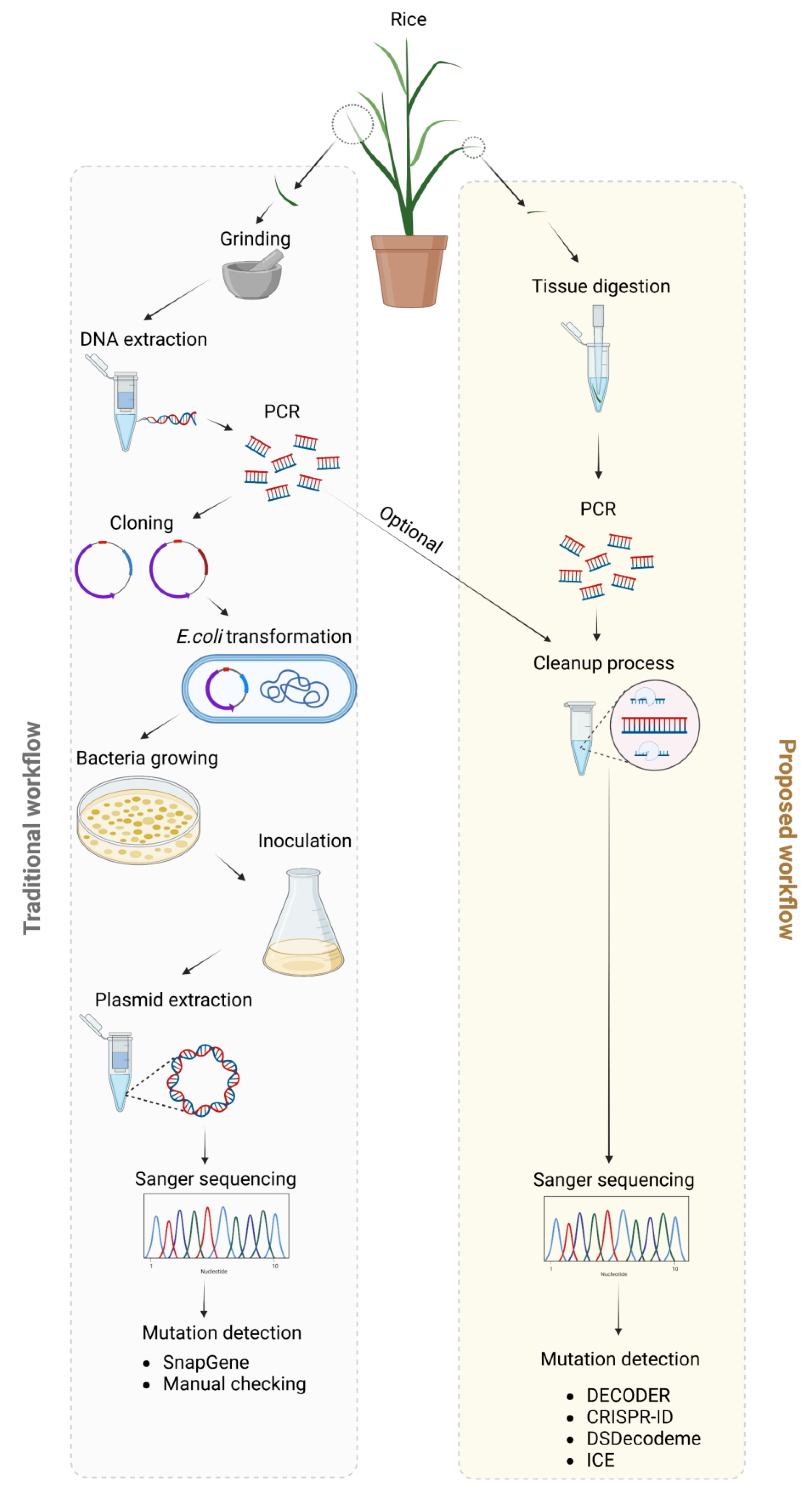 Plants 12 02189 g001 Plants 12 02189 g001