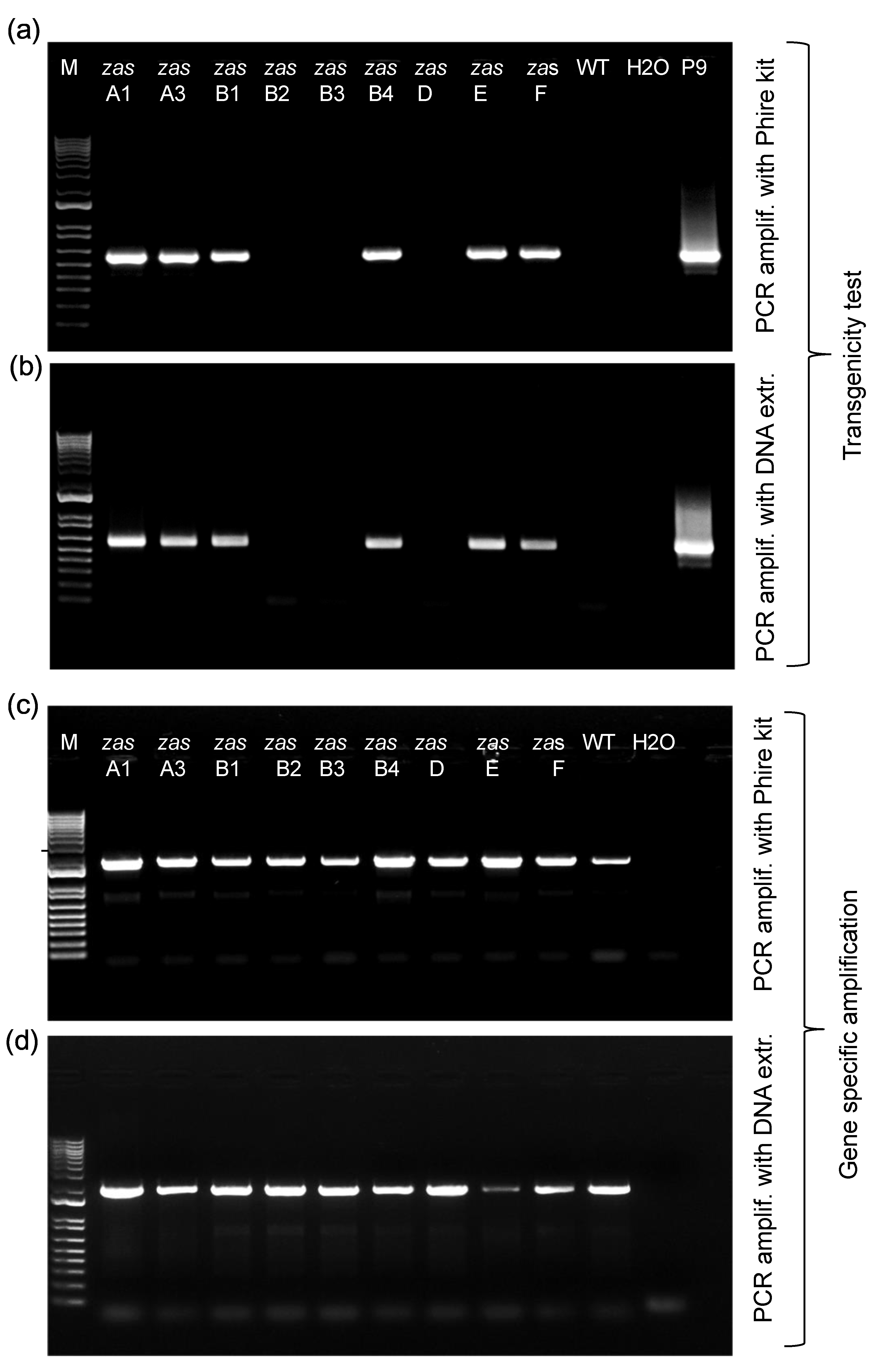 Plants 12 02189 g002 Plants 12 02189 g002