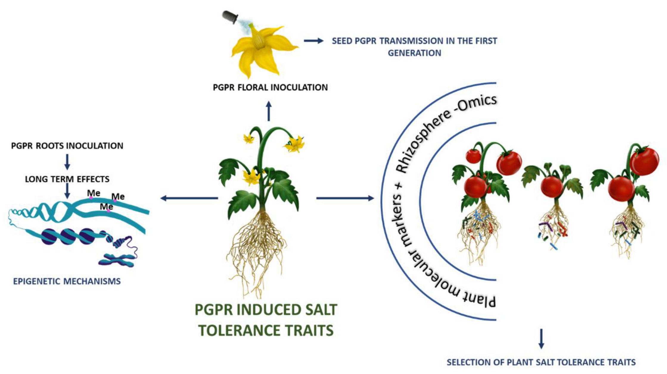 Plants 12 02197 g002