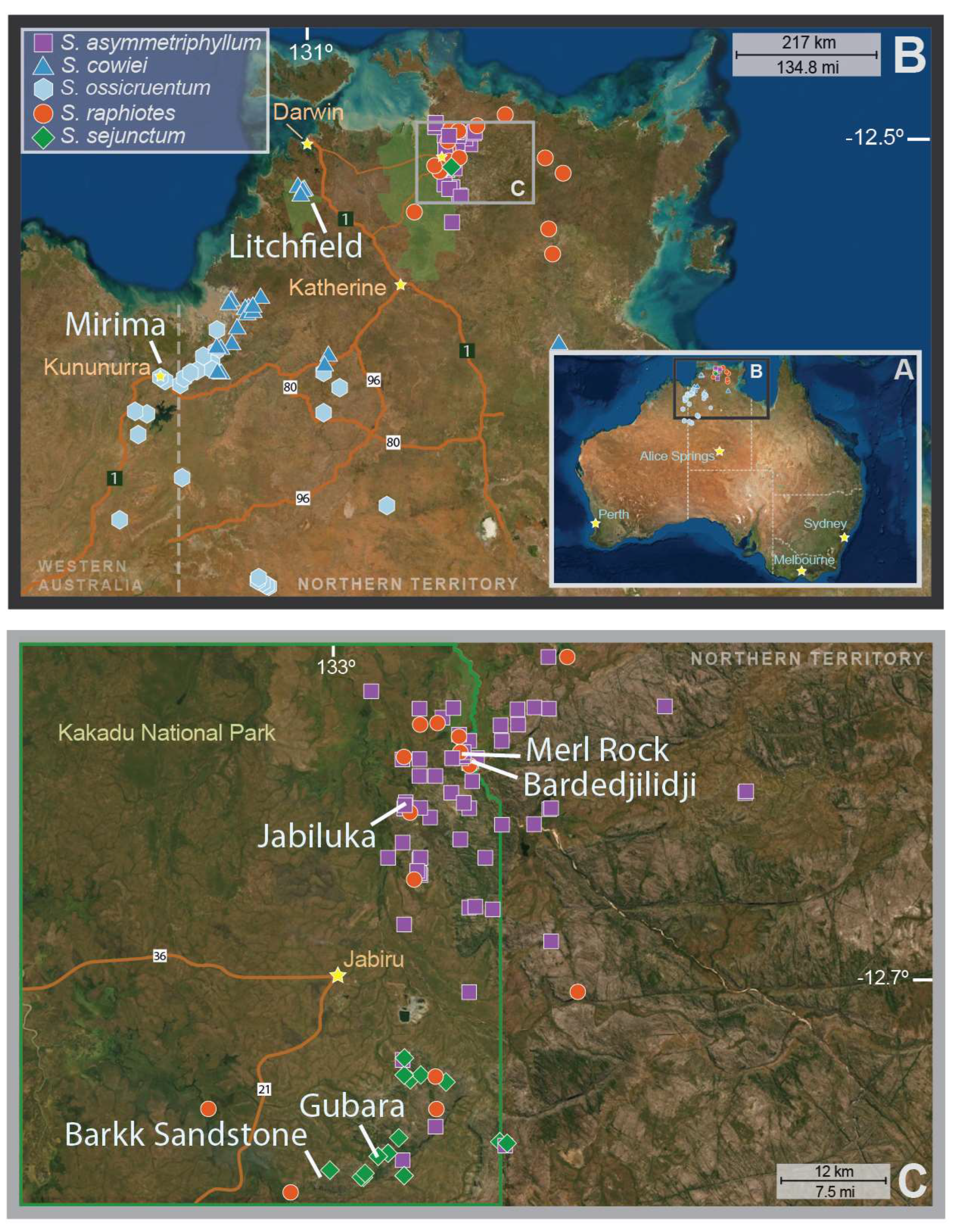 Plants 12 02200 g001 Plants 12 02200 g001