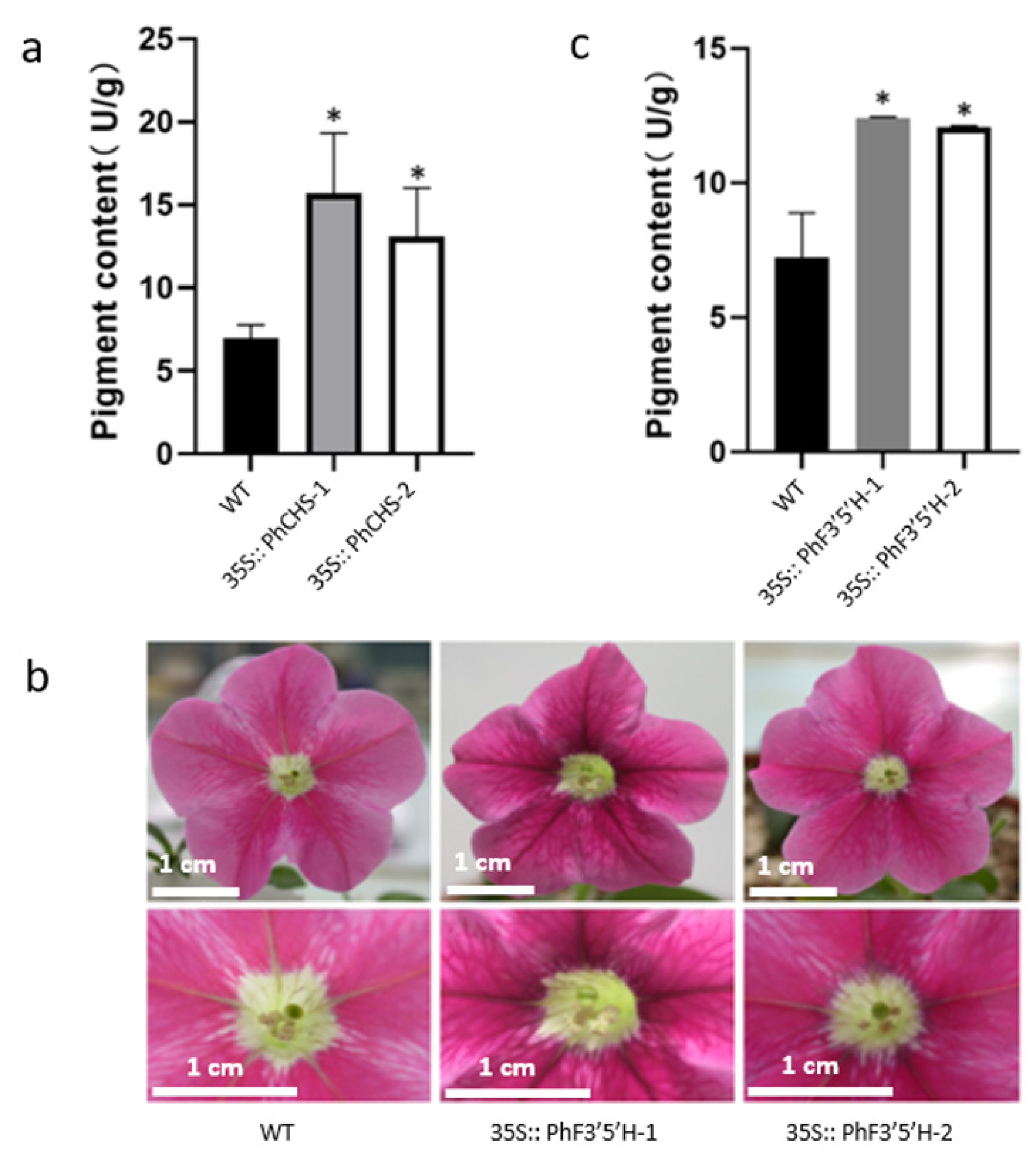 Plants 12 02204 g002