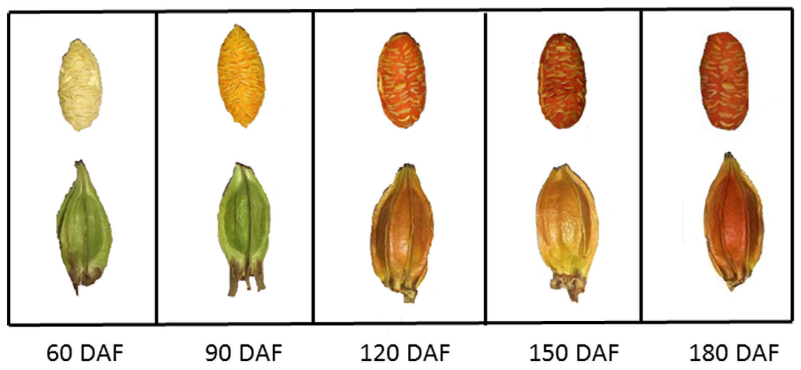 Plants 12 02209 g002 Plants 12 02209 g002