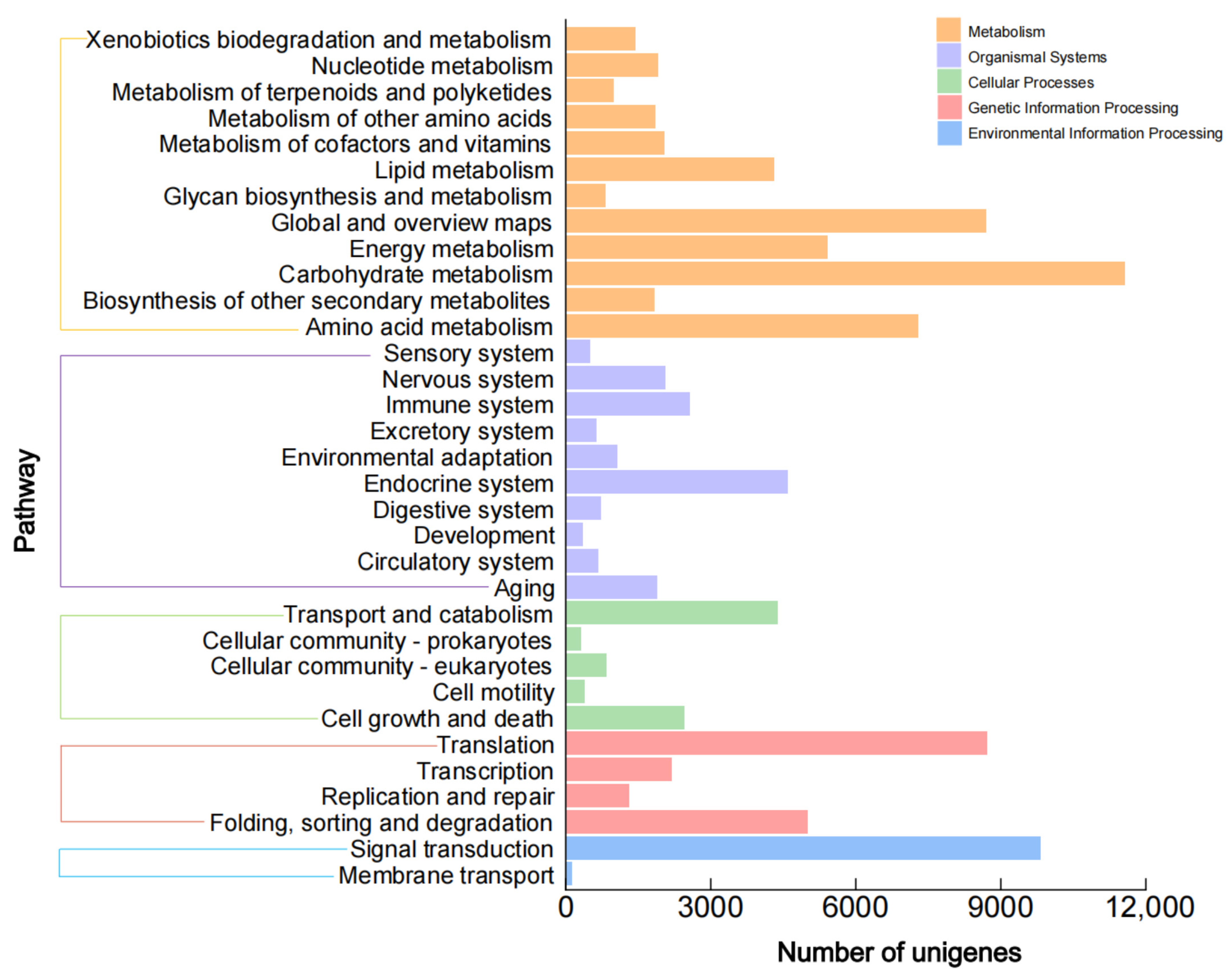 Plants 12 02209 g005 Plants 12 02209 g005
