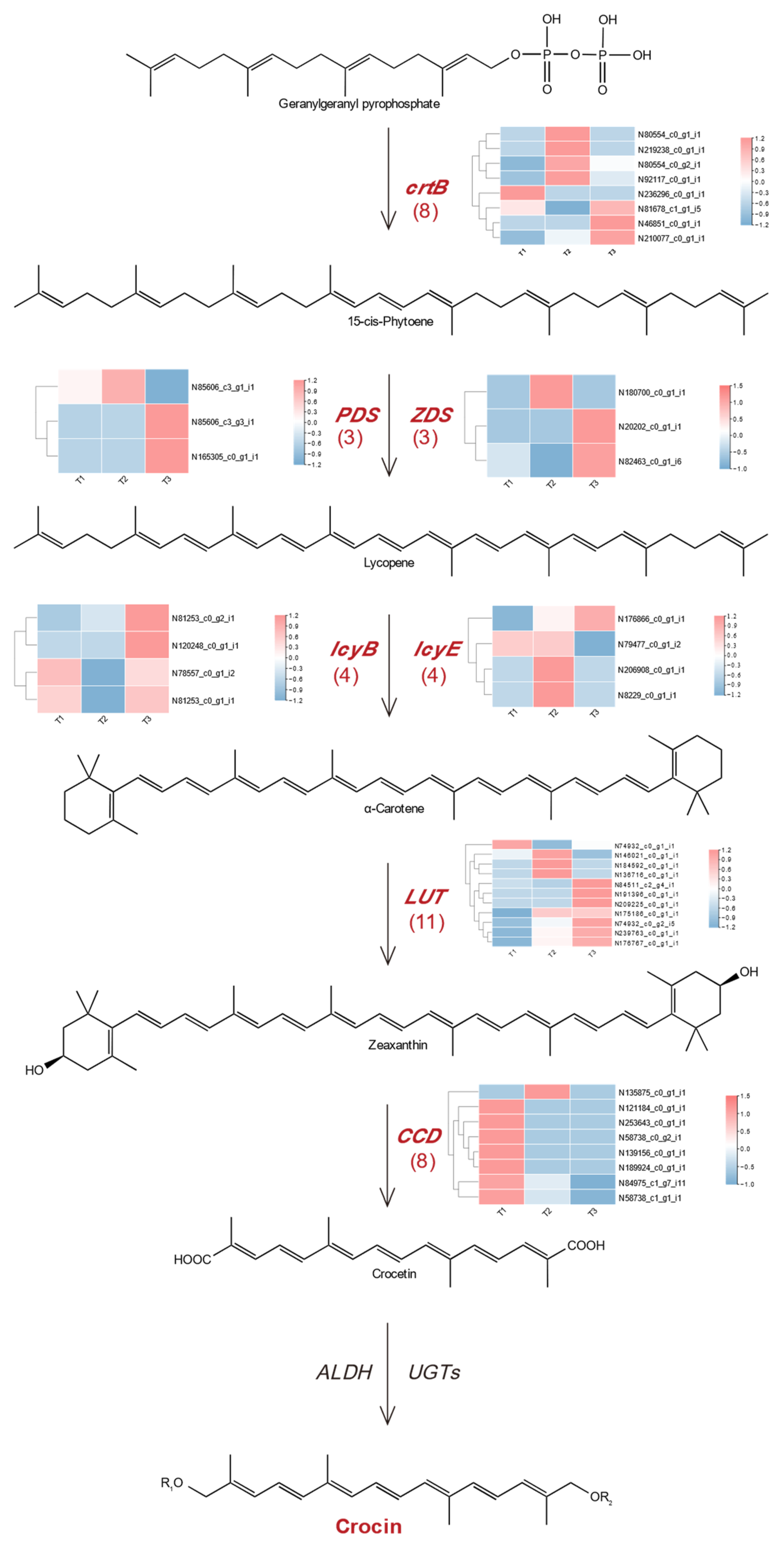 Plants 12 02209 g008 Plants 12 02209 g008