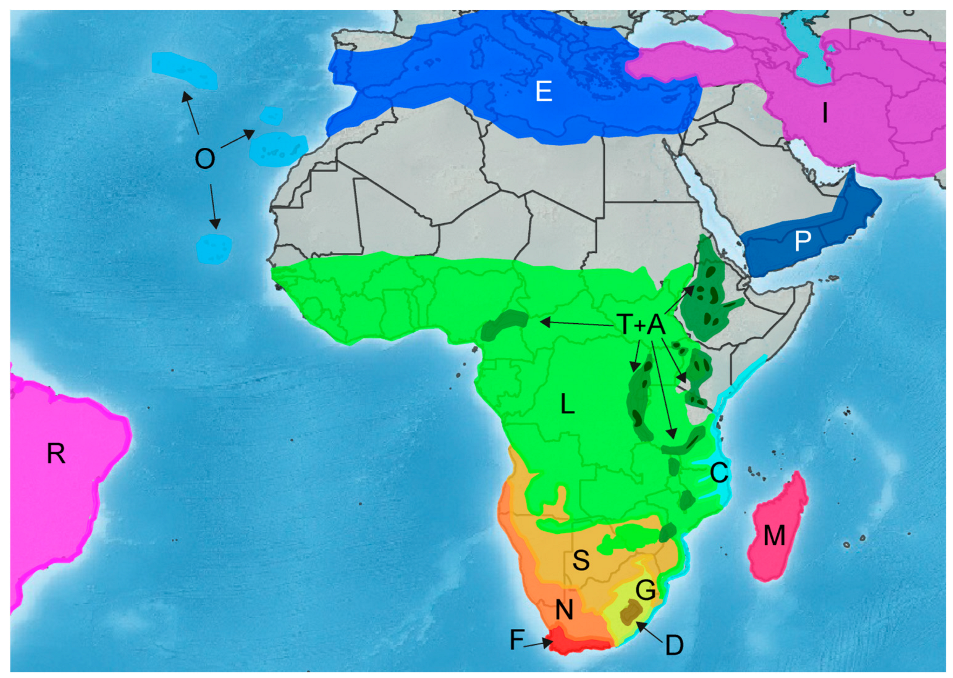 Plants 12 02213 g002 Plants 12 02213 g002