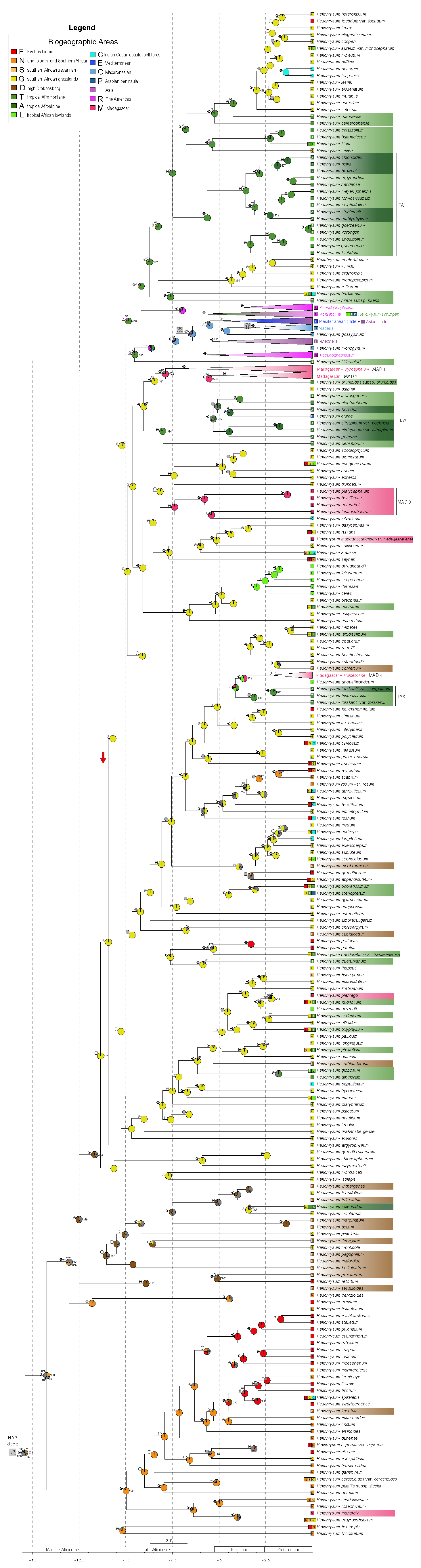 Plants 12 02213 g003 Plants 12 02213 g003