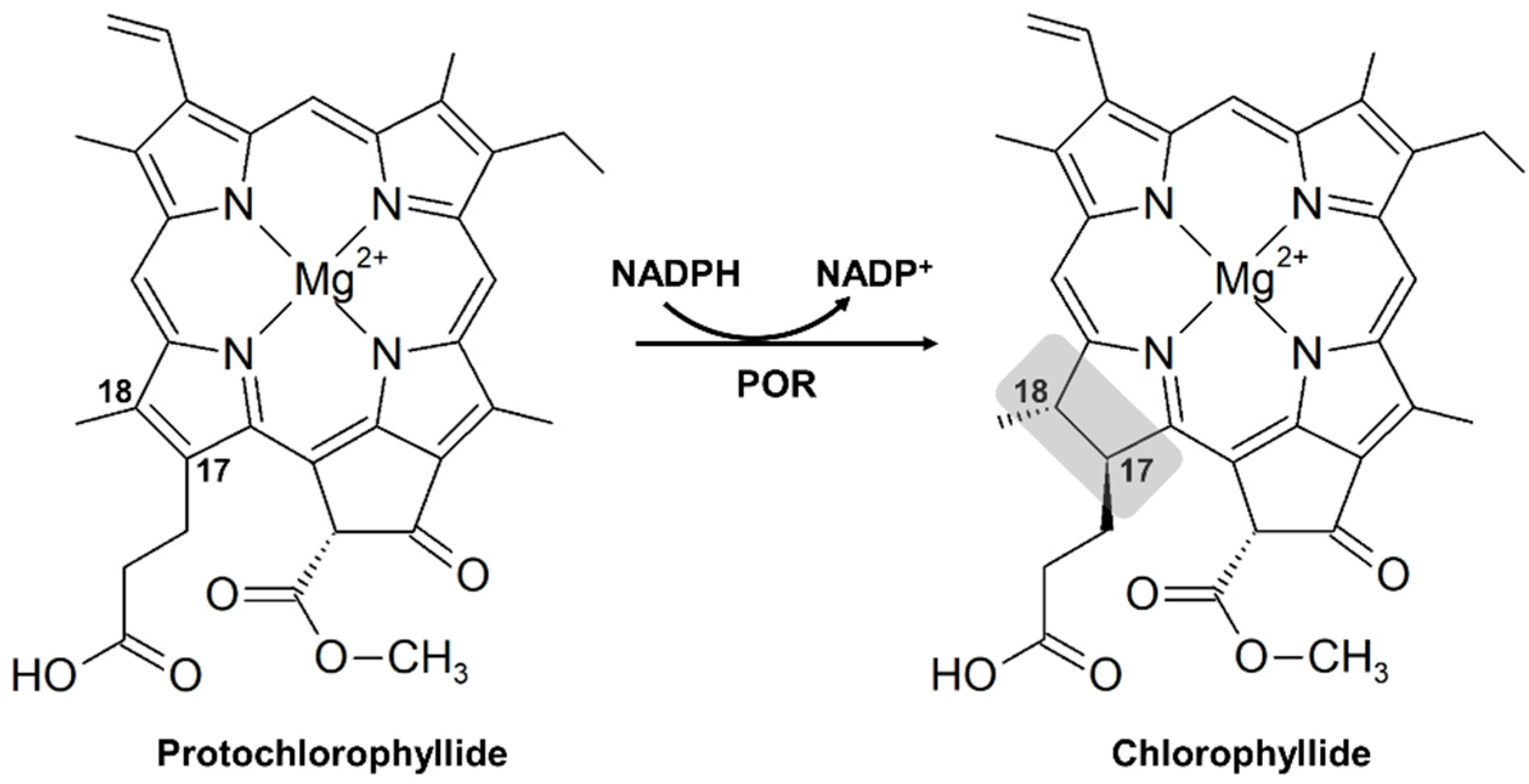 Plants 12 02214 g001 Plants 12 02214 g001