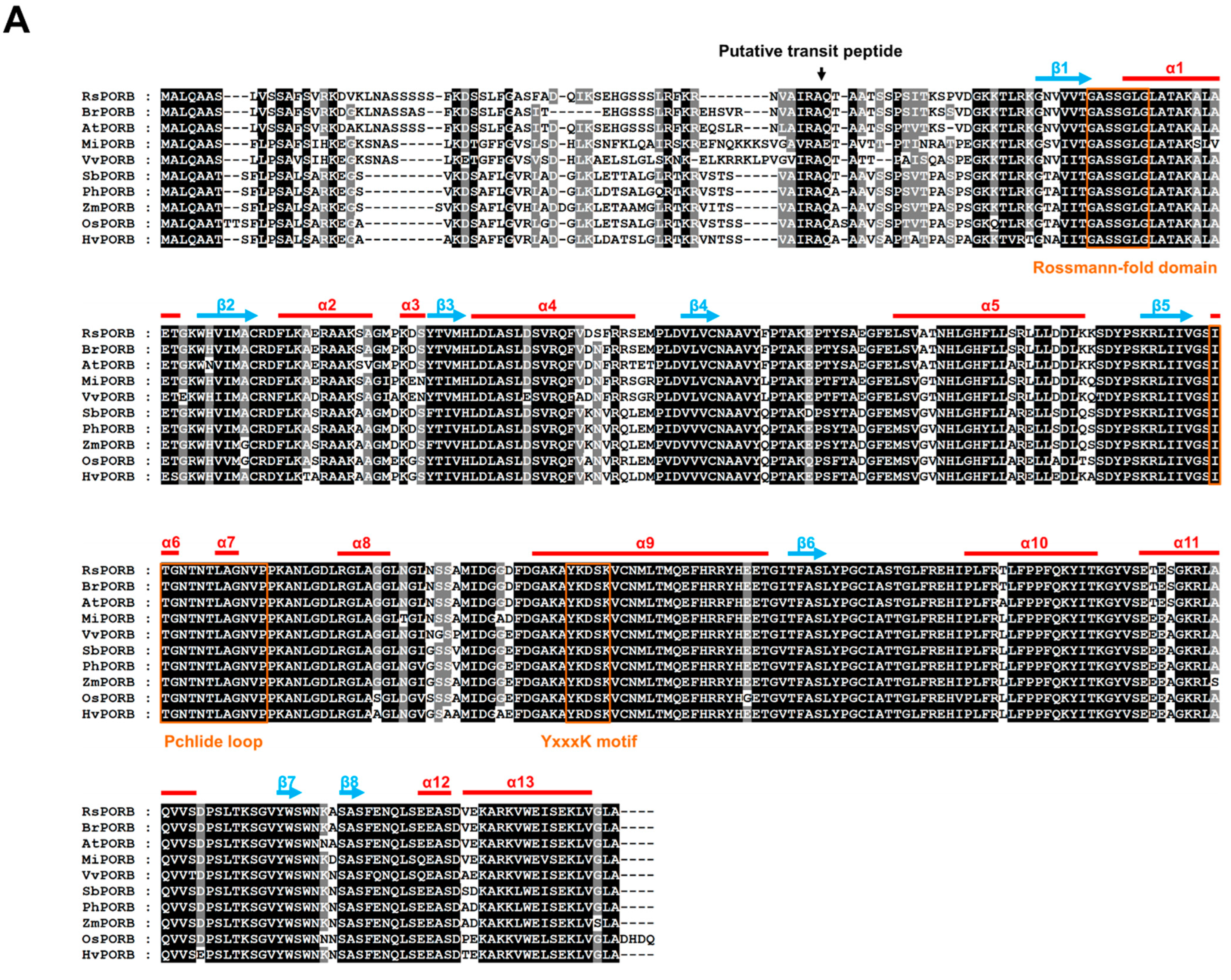 Plants 12 02214 g004a Plants 12 02214 g004a