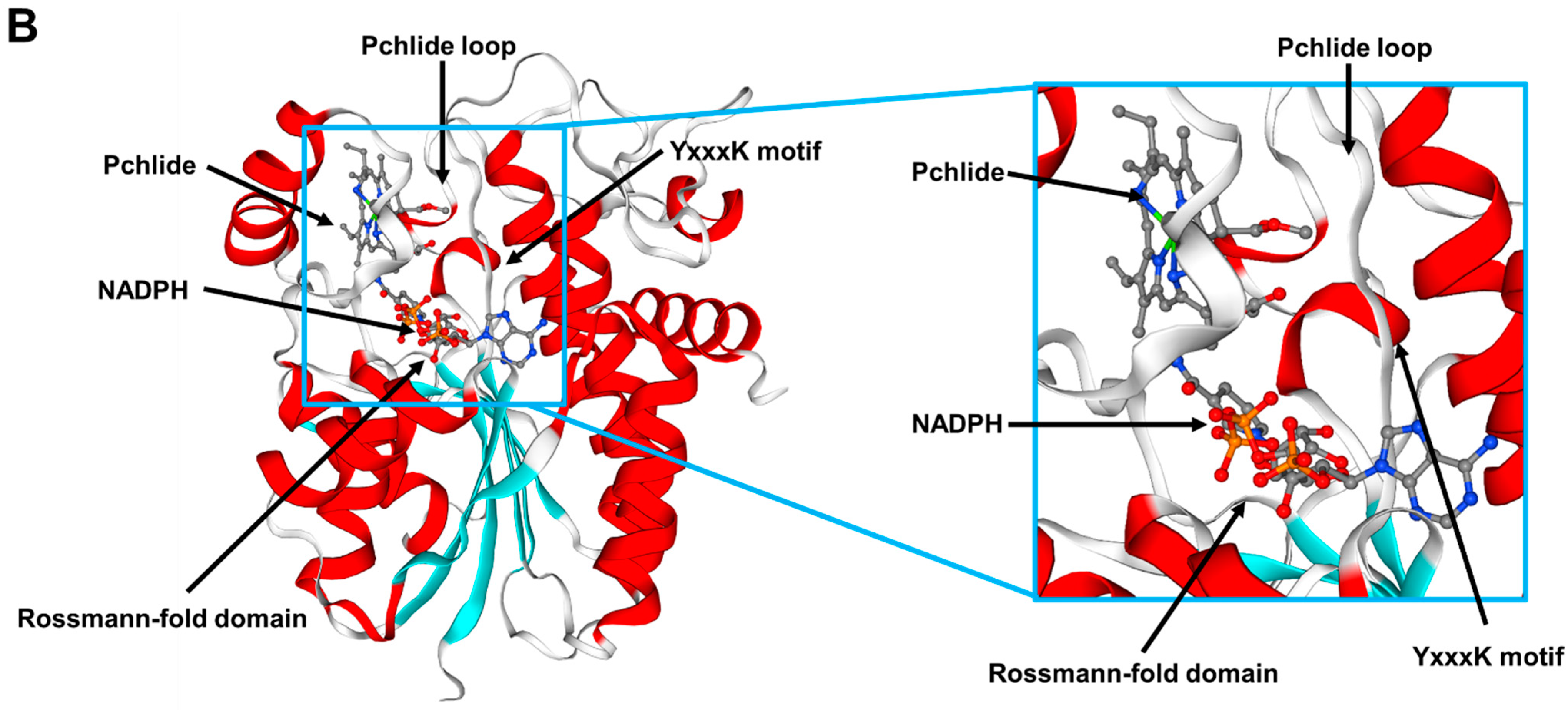 Plants 12 02214 g004b Plants 12 02214 g004b