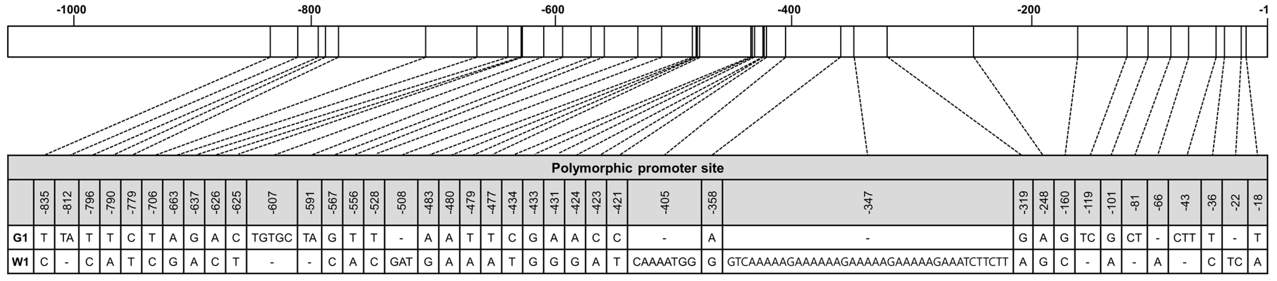Plants 12 02214 g006 Plants 12 02214 g006