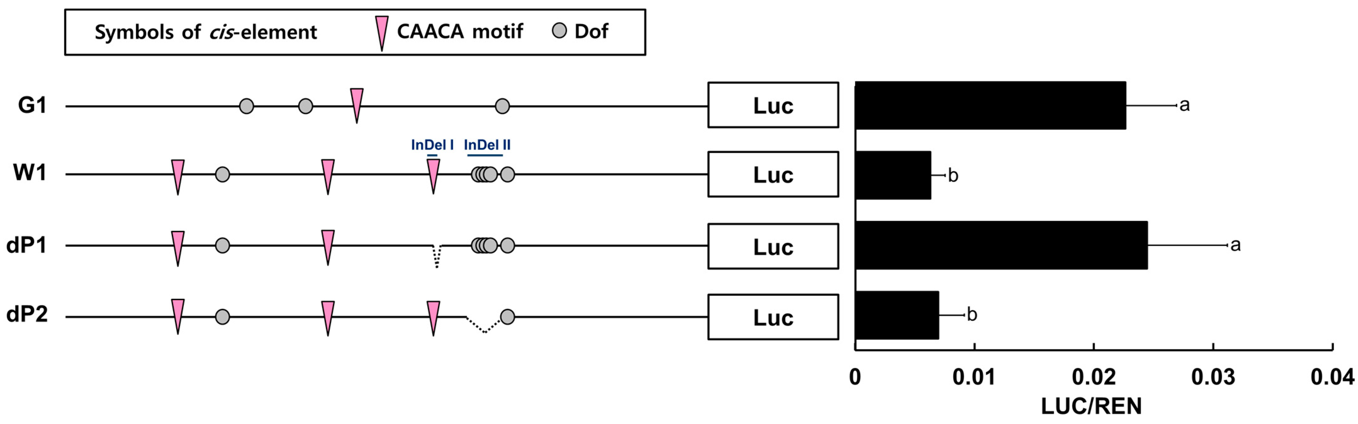 Plants 12 02214 g007 Plants 12 02214 g007