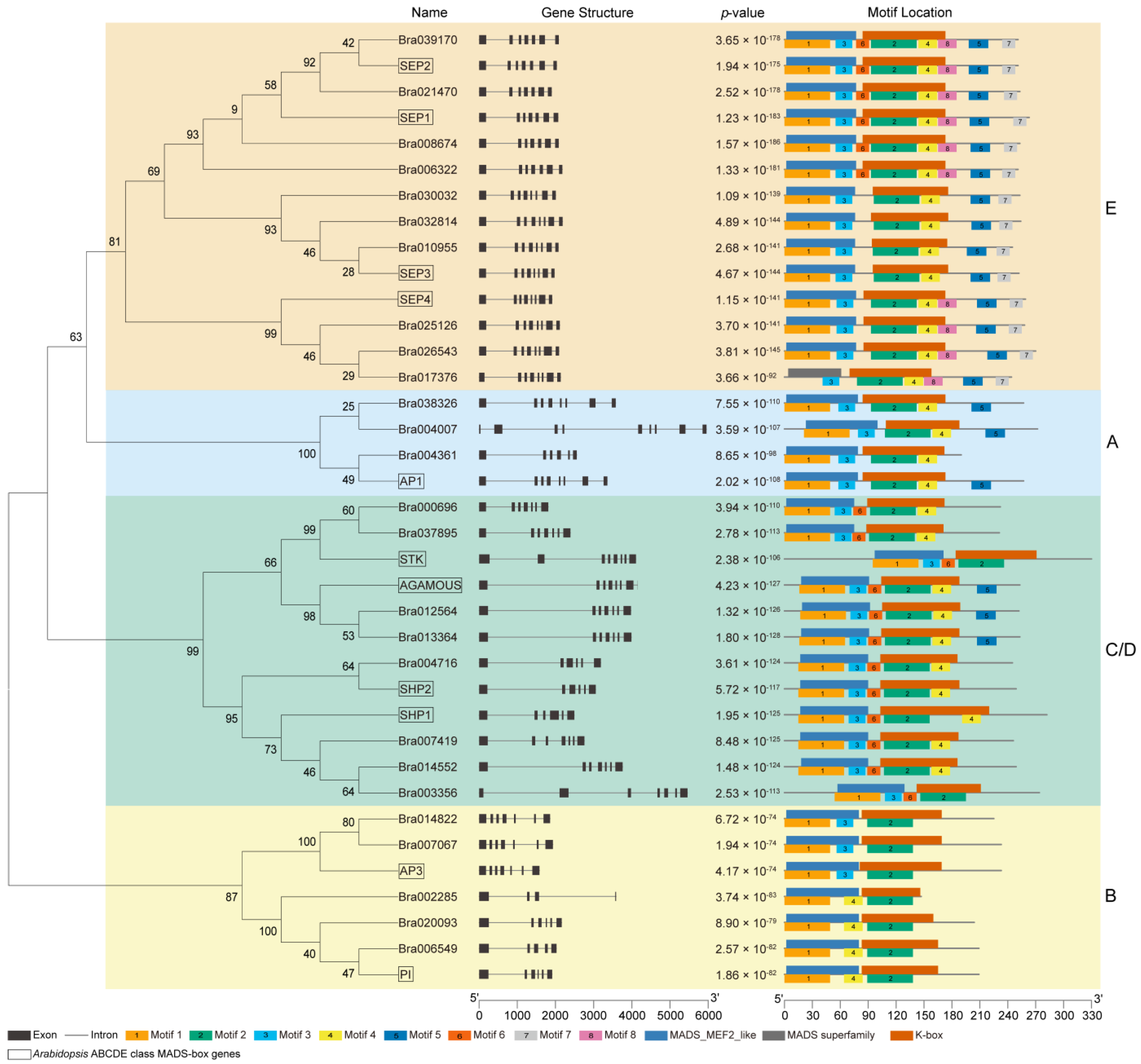 Plants 12 02218 g003 Plants 12 02218 g003