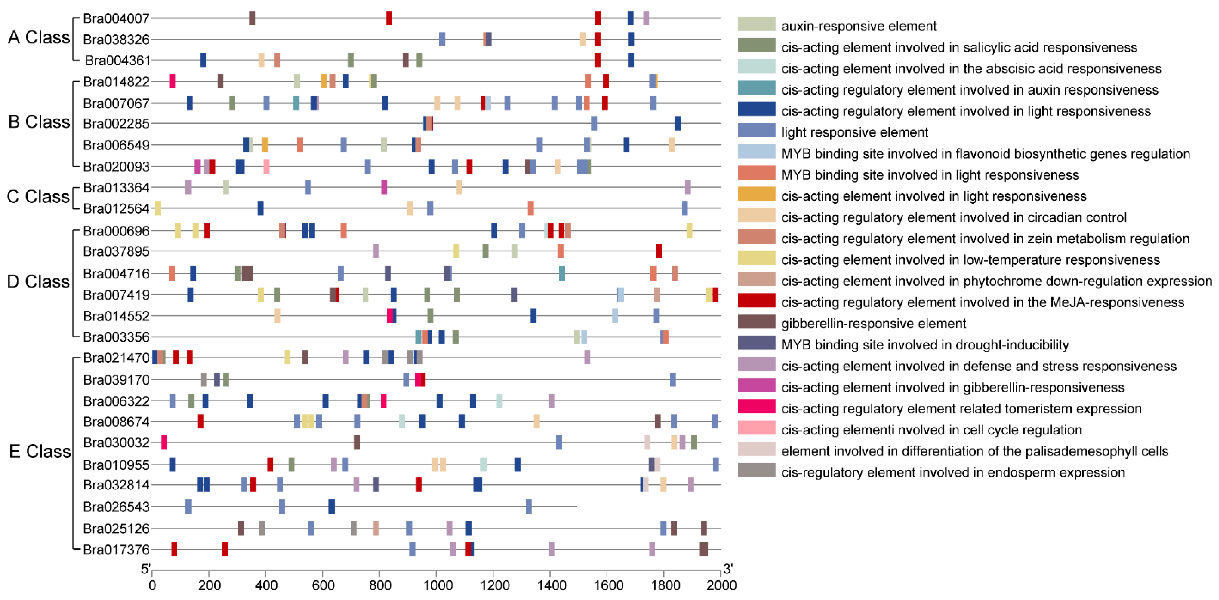 Plants 12 02218 g004 Plants 12 02218 g004