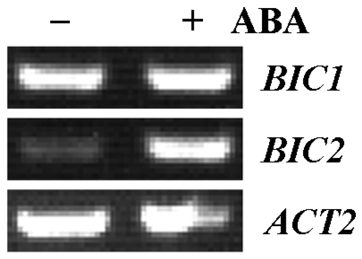 Plants 12 02220 g001 Plants 12 02220 g001