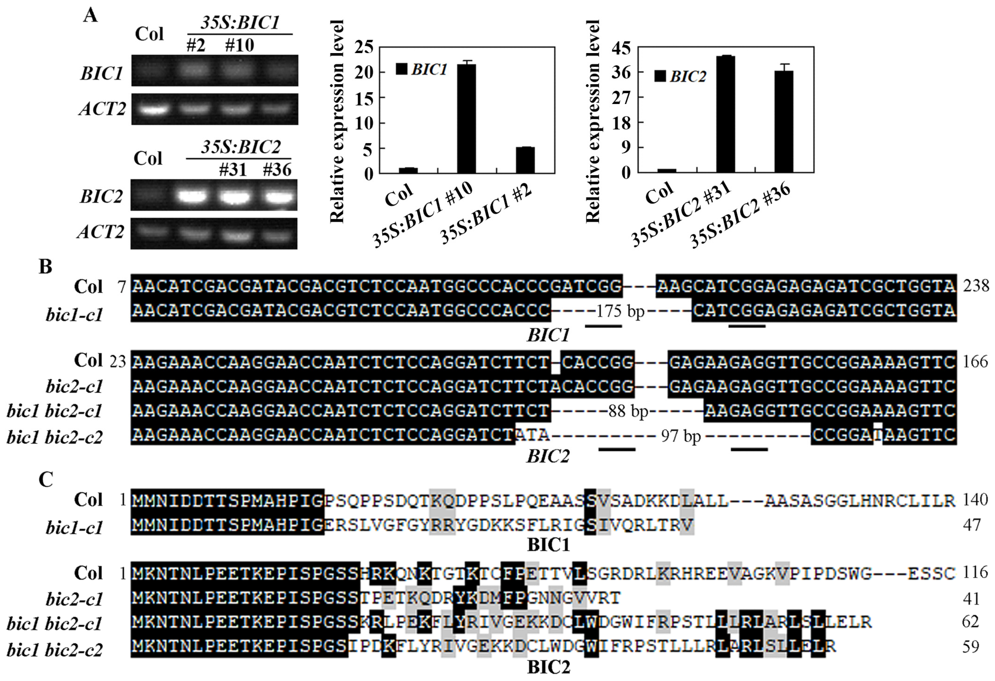 Plants 12 02220 g003 Plants 12 02220 g003
