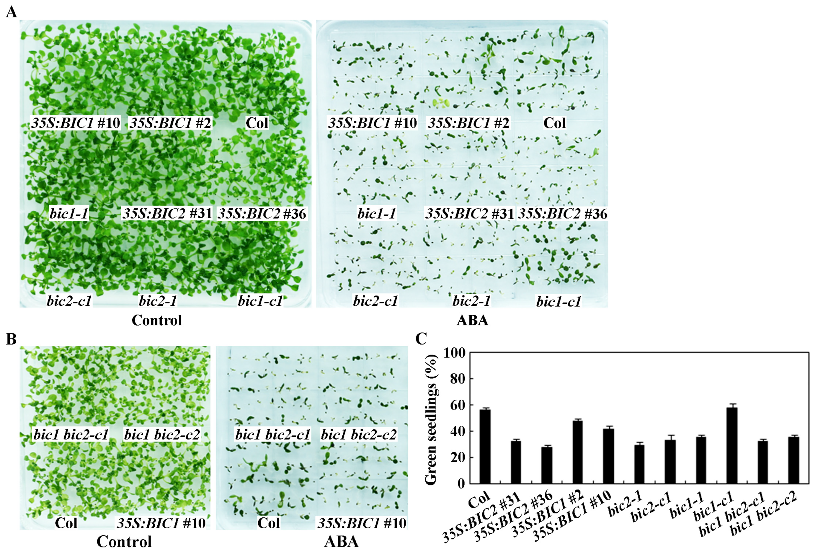 Plants 12 02220 g006 Plants 12 02220 g006