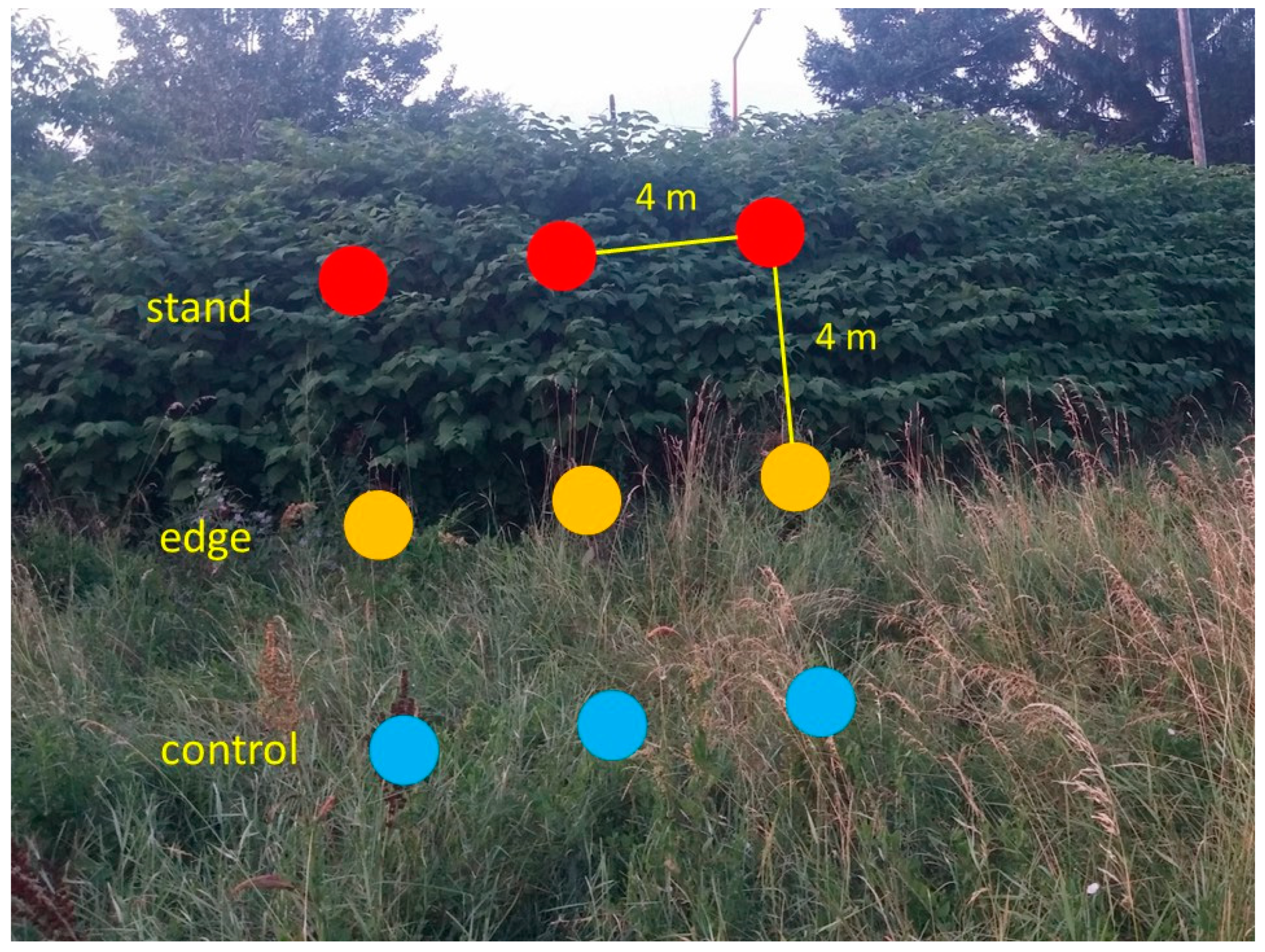 Plants 12 02222 g005