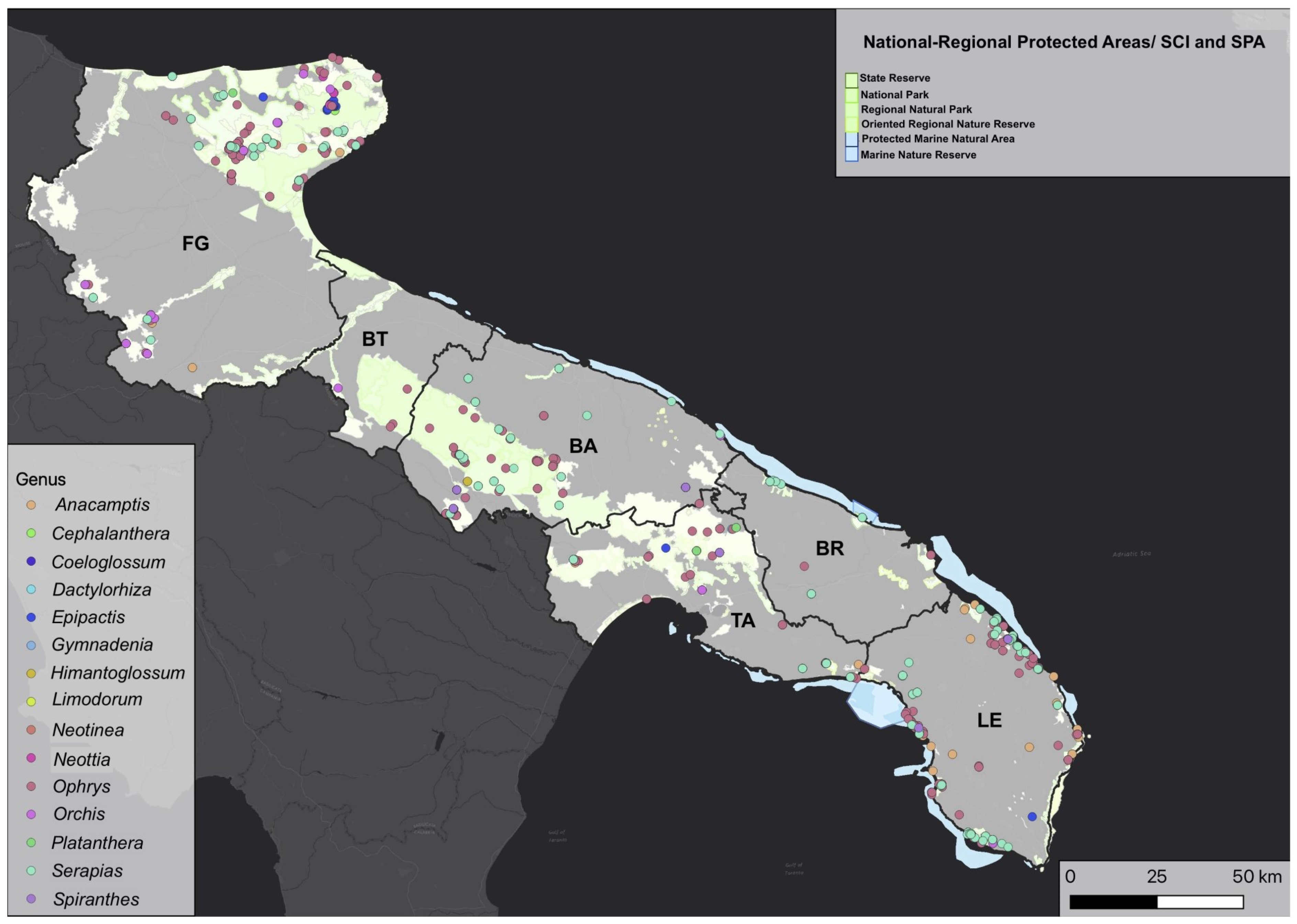 Plants 12 02223 g002
