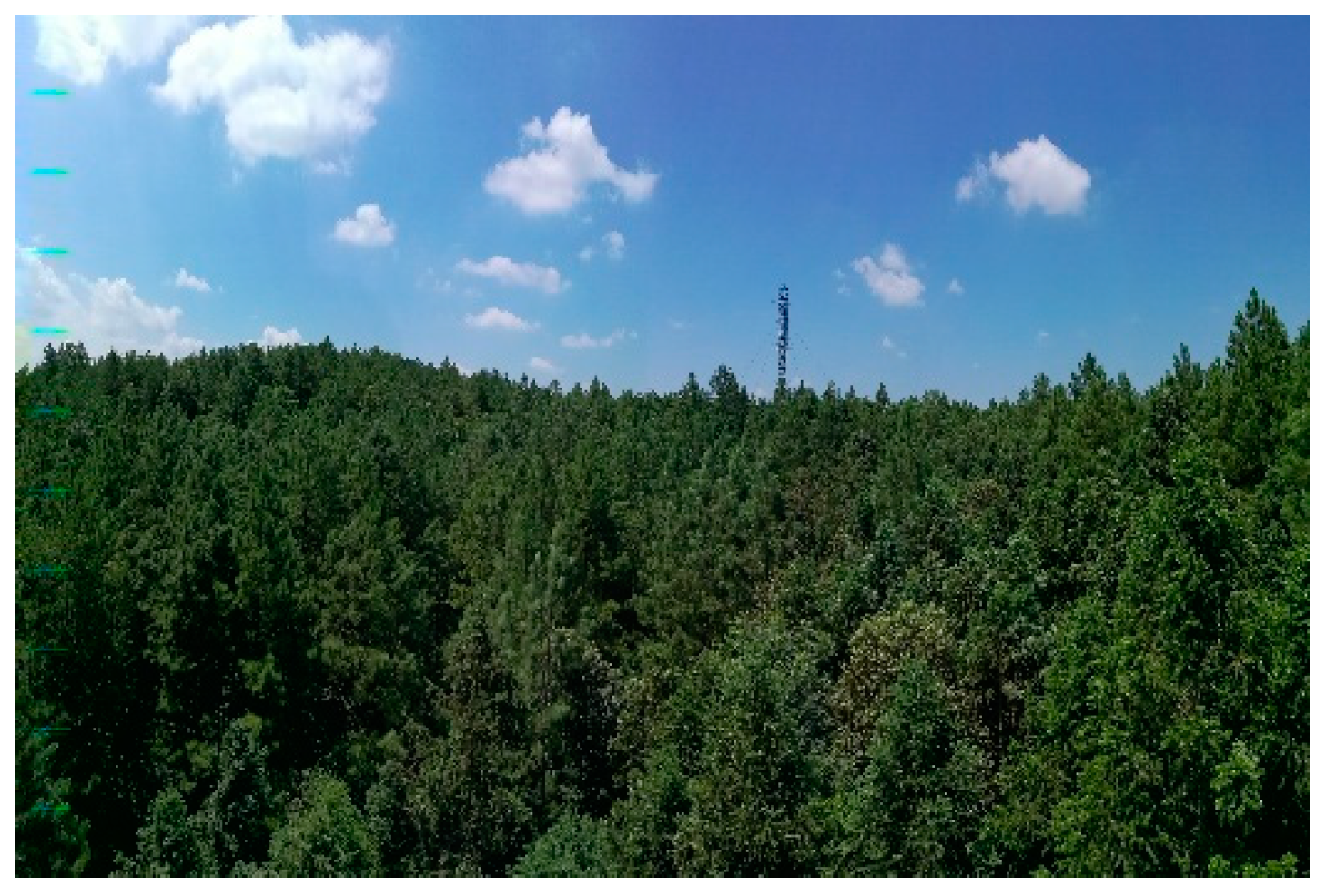 Plants 12 02224 g007