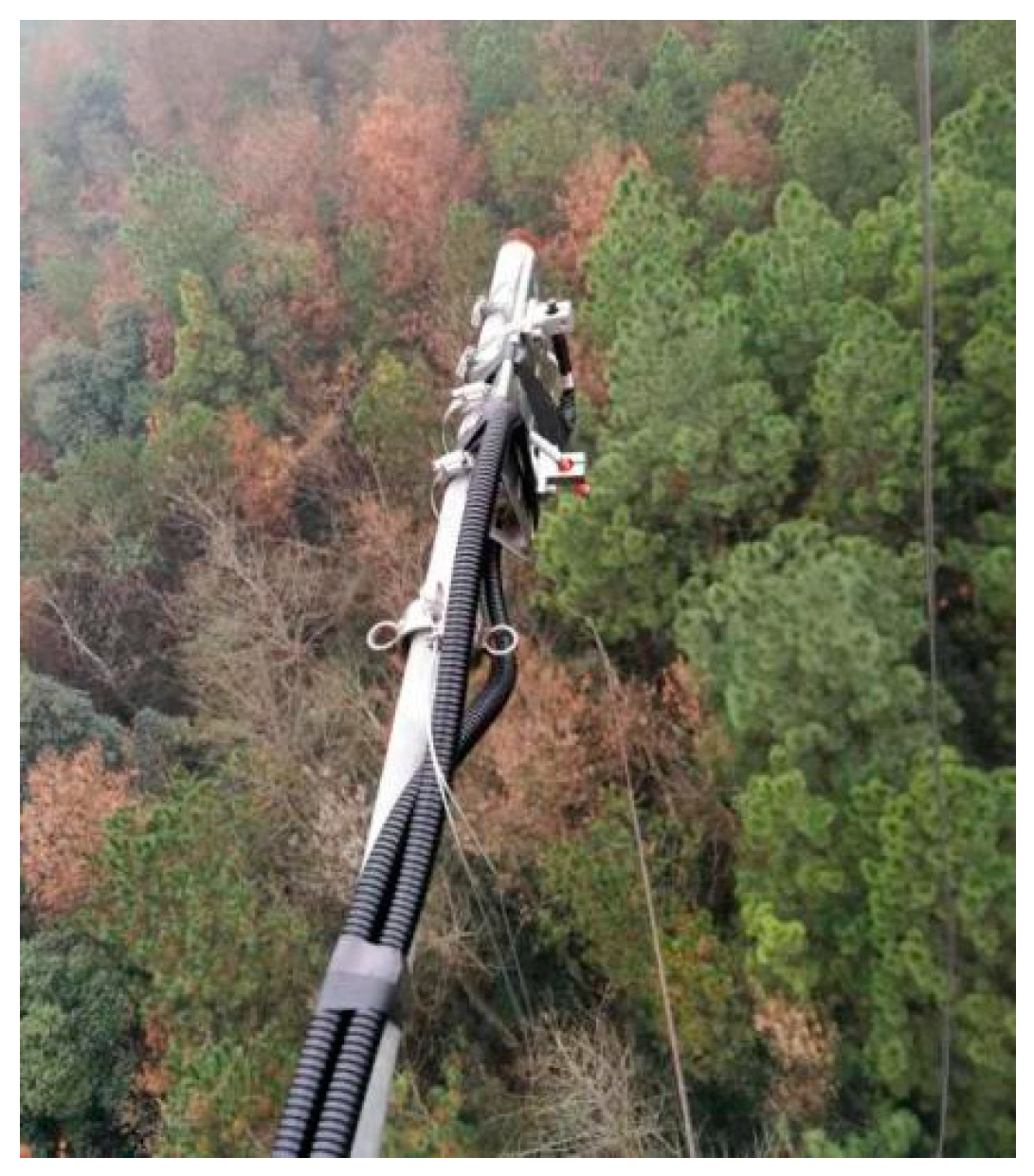 Plants 12 02224 g008