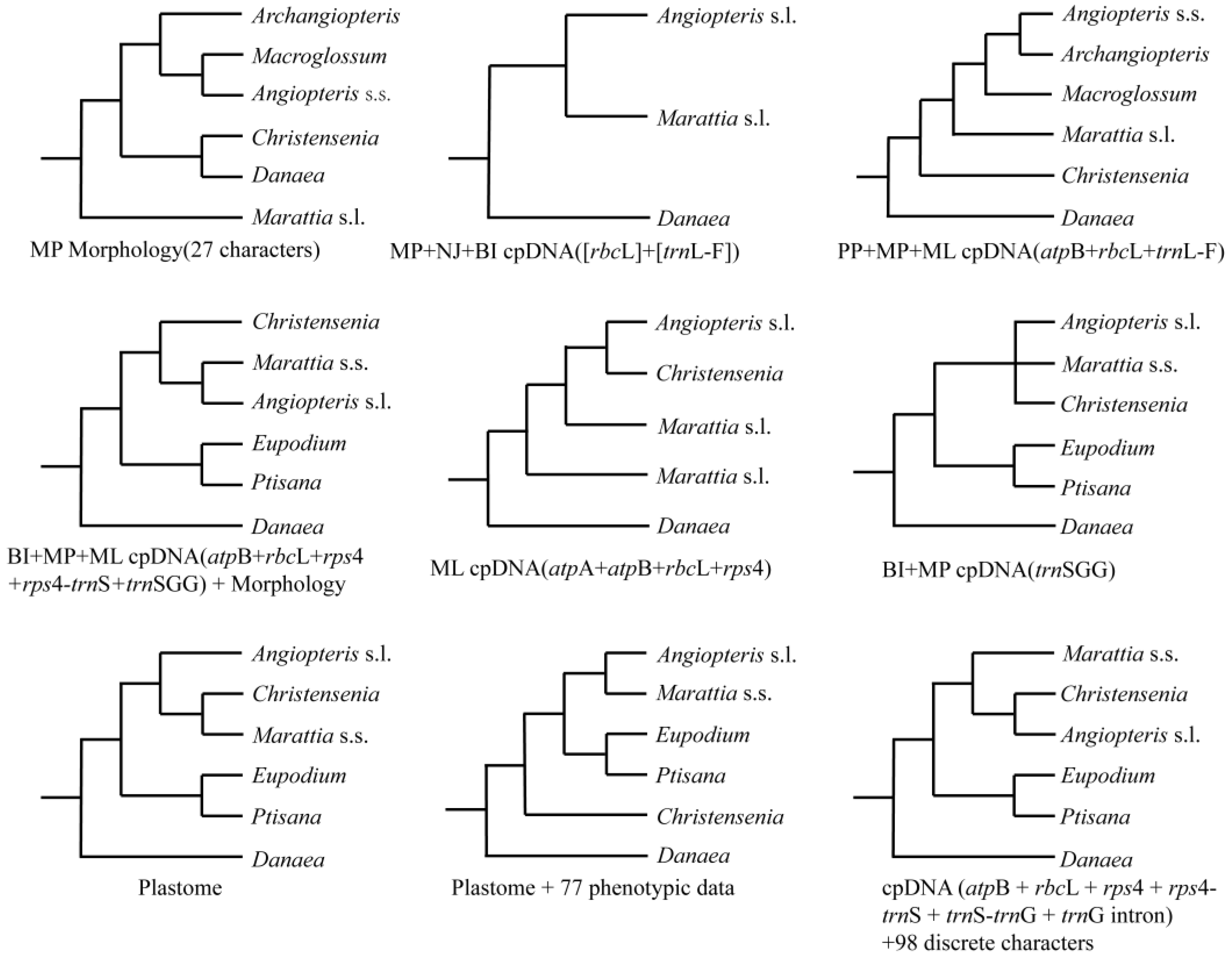 Plants 12 02237 g001 Plants 12 02237 g001