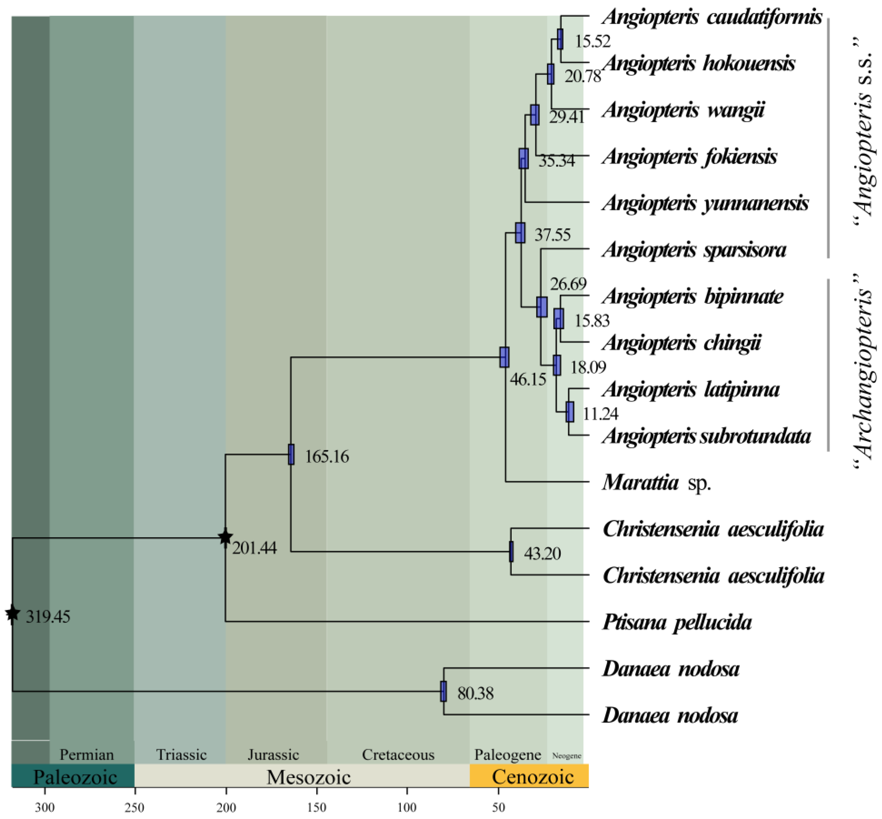 Plants 12 02237 g008 Plants 12 02237 g008