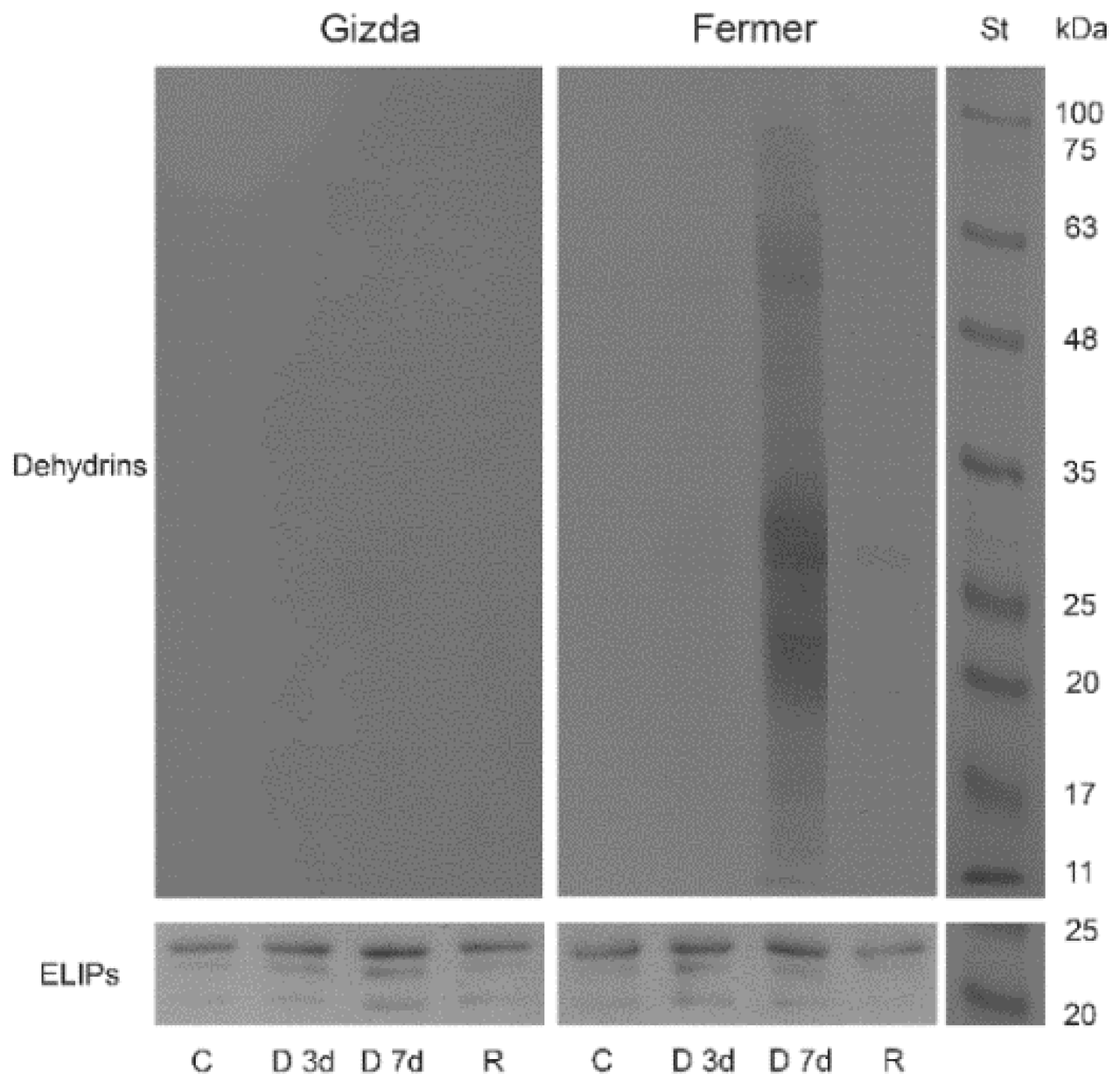 Plants 12 02239 g009